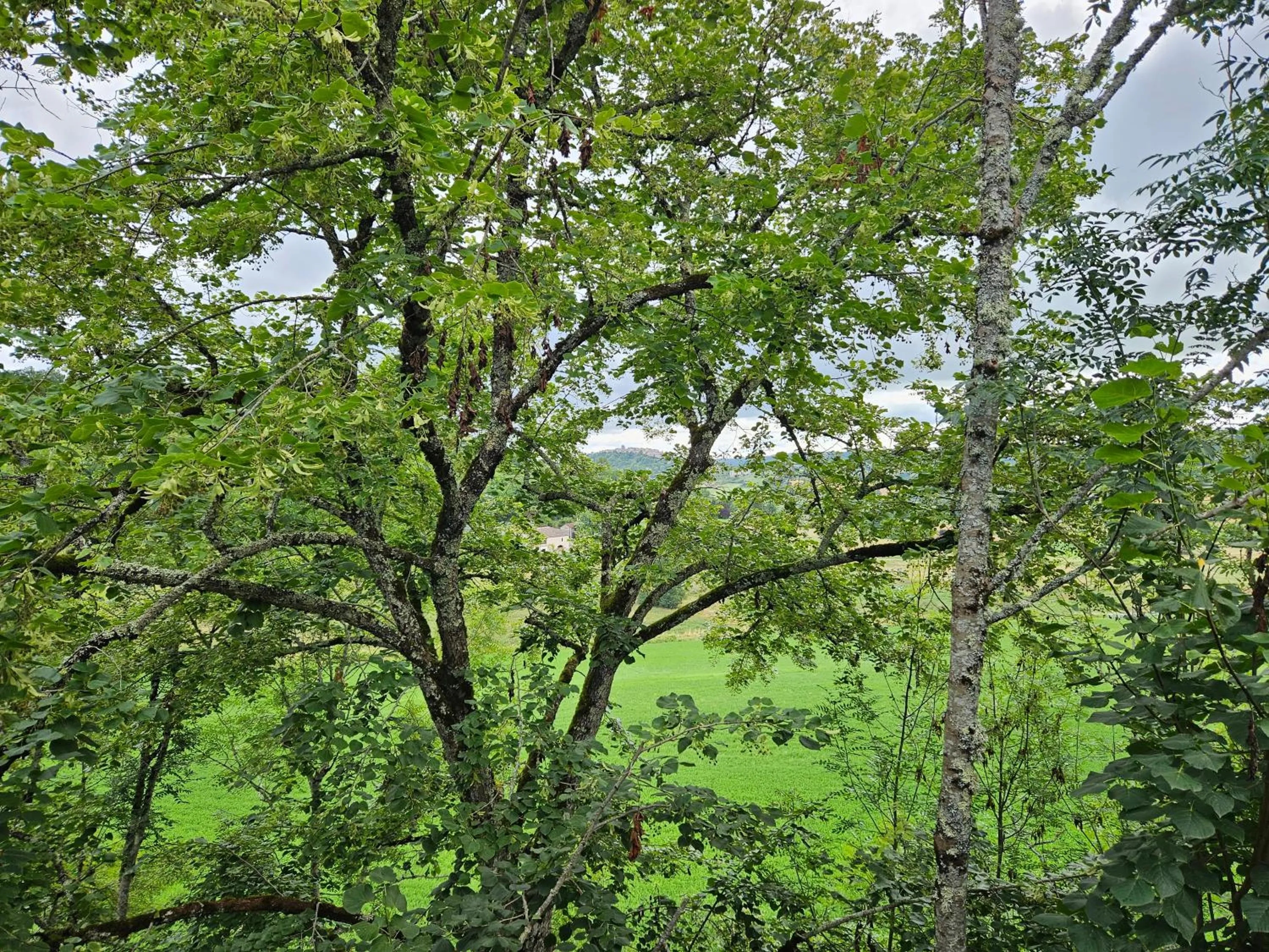 Le Belvédère Hotel et Bien être