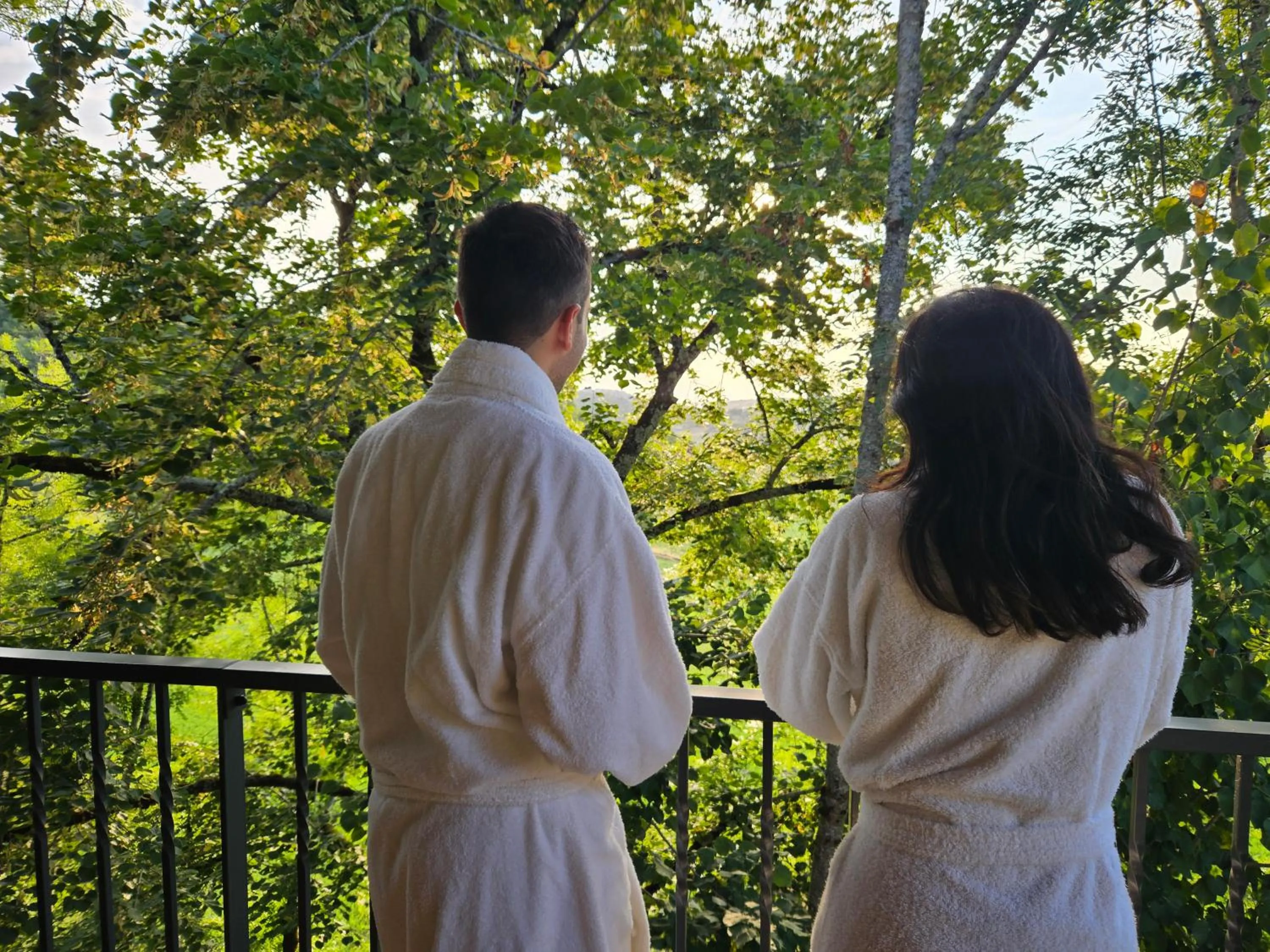 Le Belvédère Hotel et Bien être