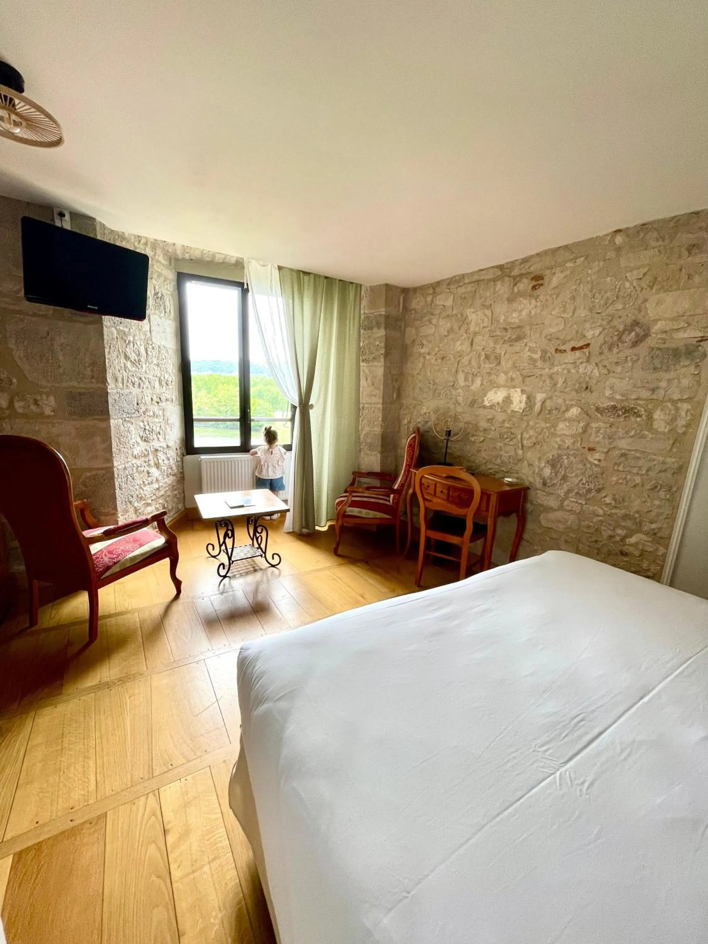 Photo of the whole room, Bed in Château Hôtel La Terrasse - Teritoria