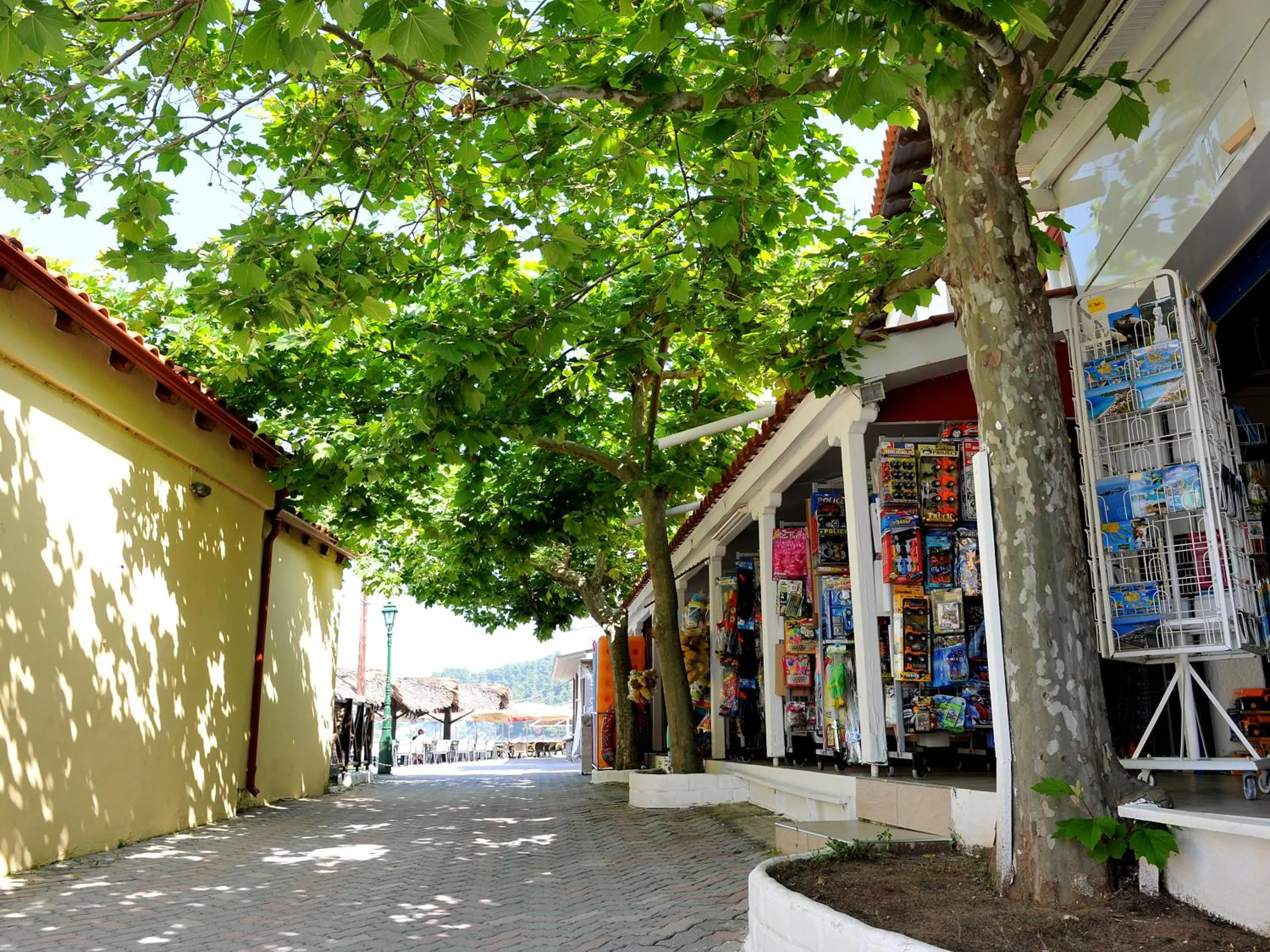 Shopping Area in Siviri Rental Houses