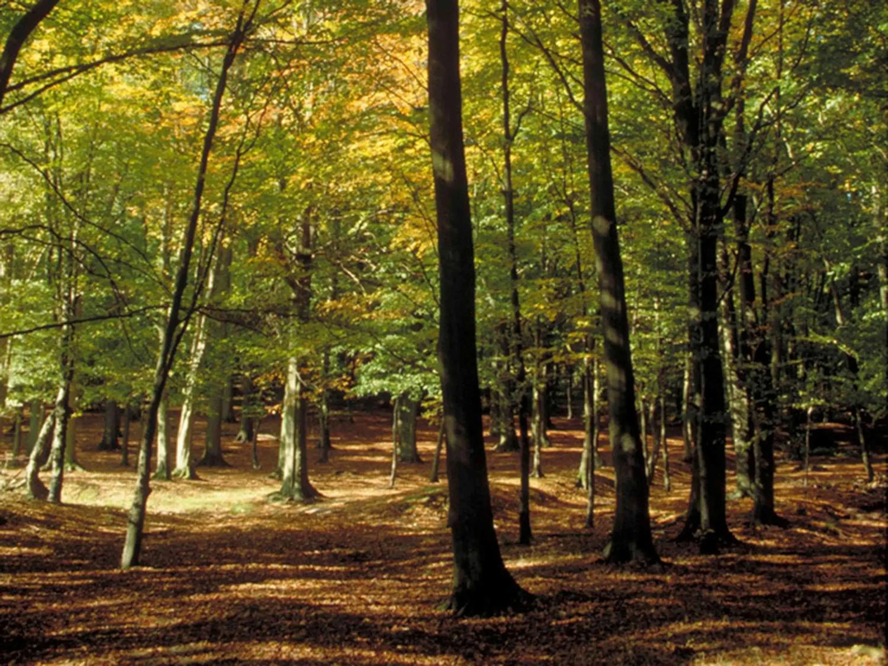 Property building in ibis Nemours Property building in ibis Nemours