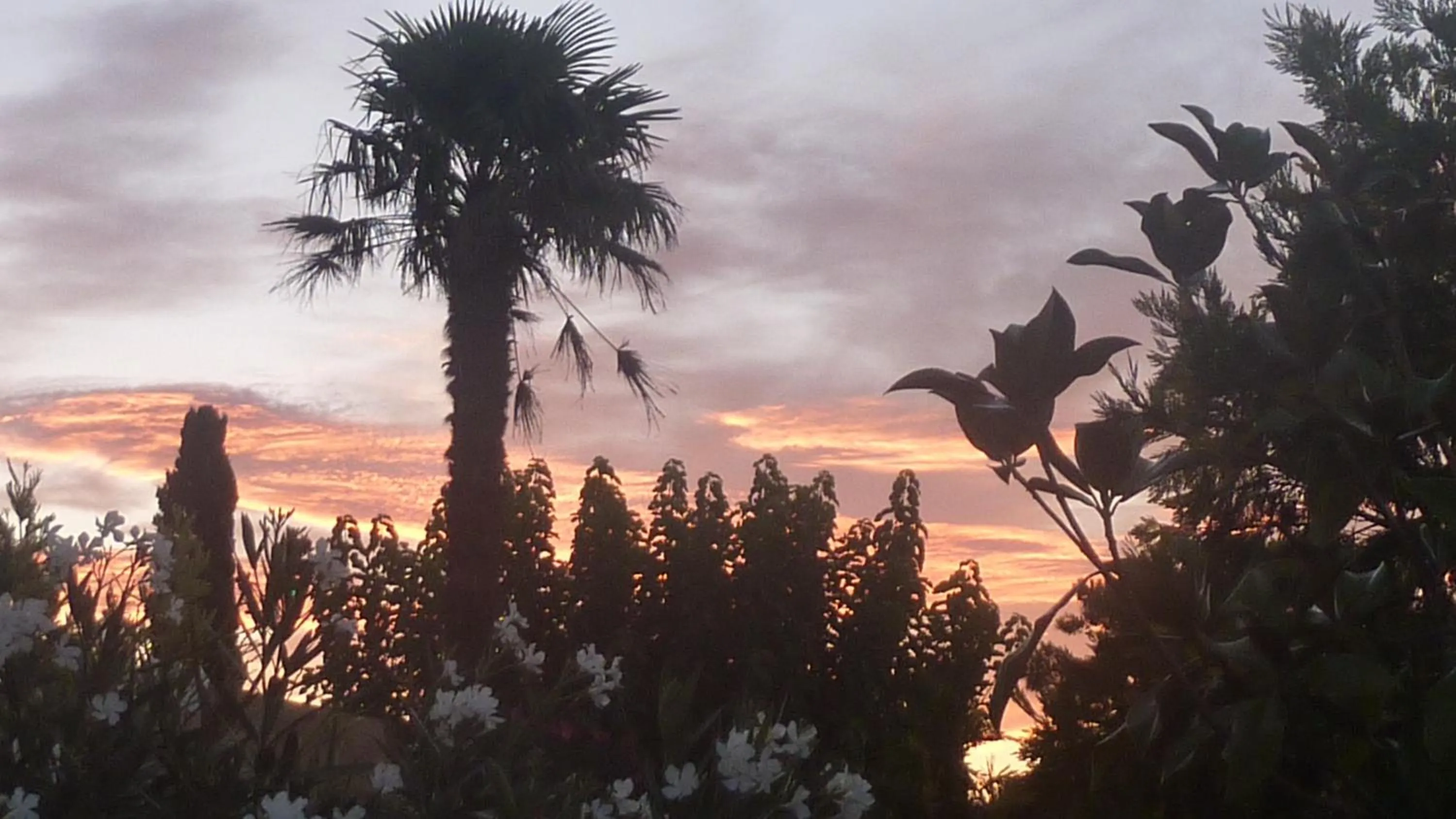 Sunrise in Longo Mai