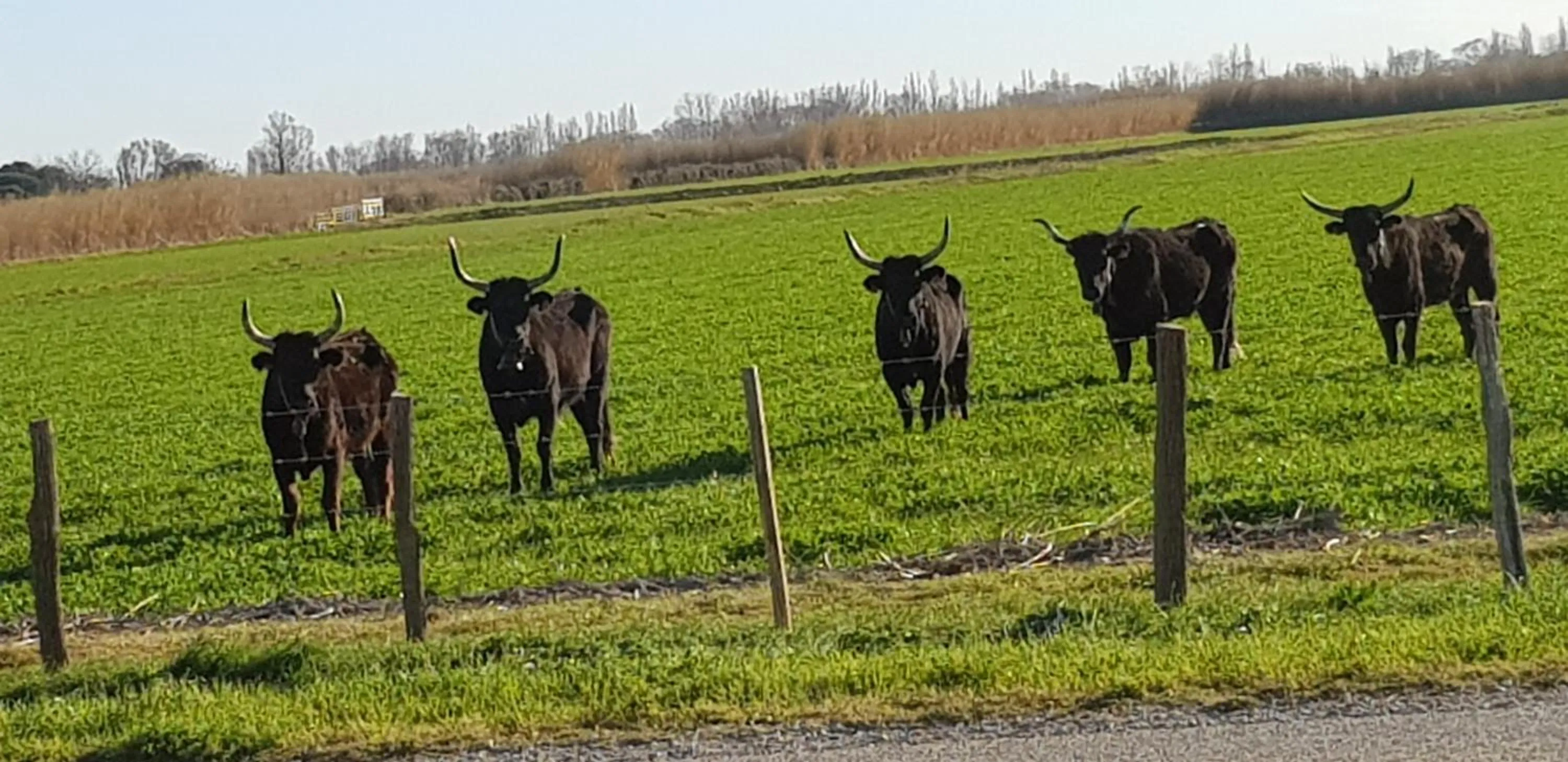 Nearby landmark in Longo Mai