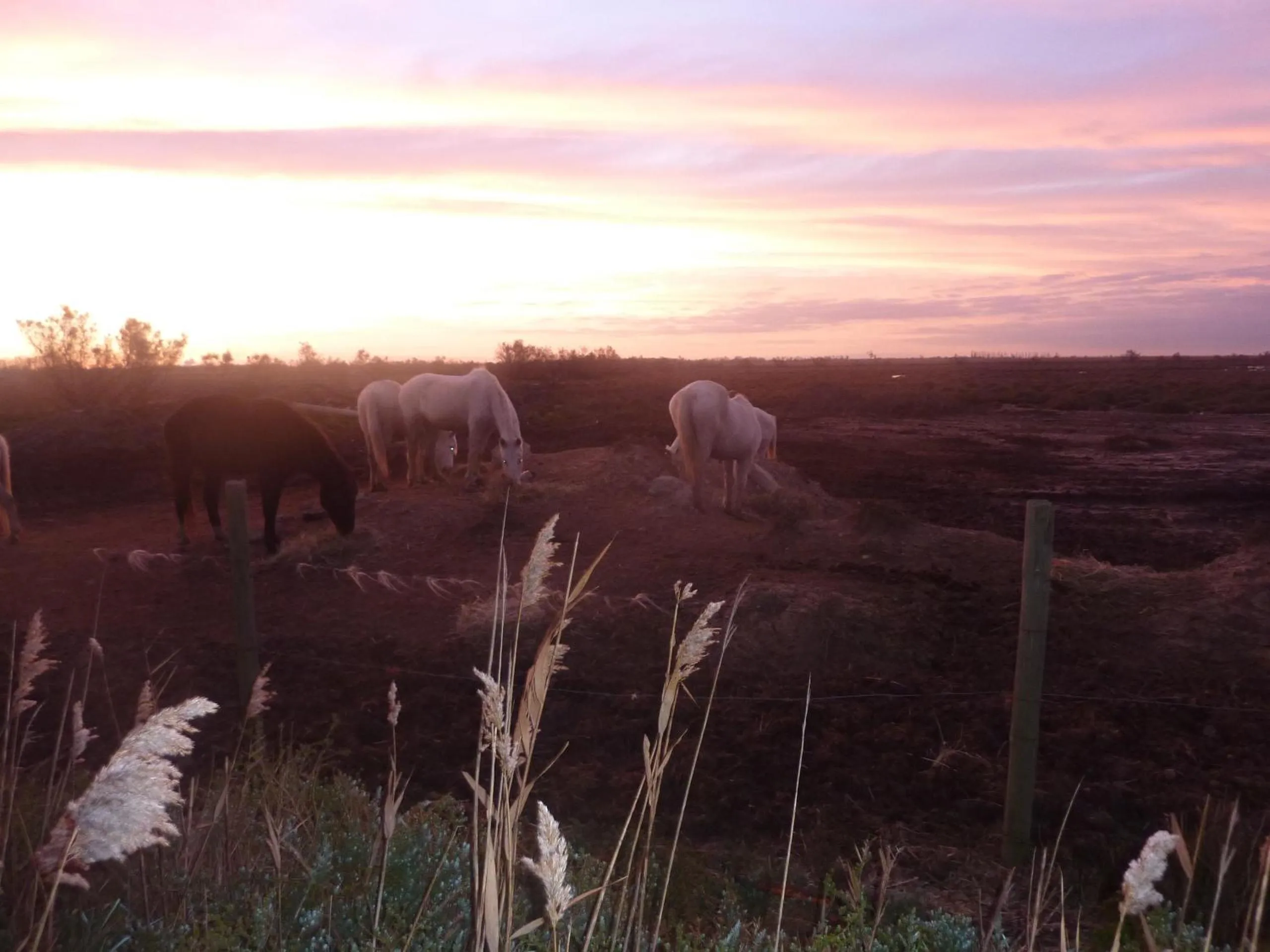 Sunrise in Longo Mai