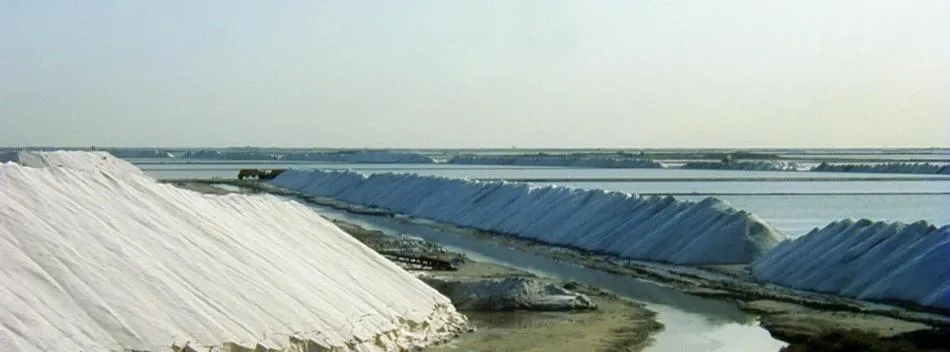 Cycling in Longo Mai