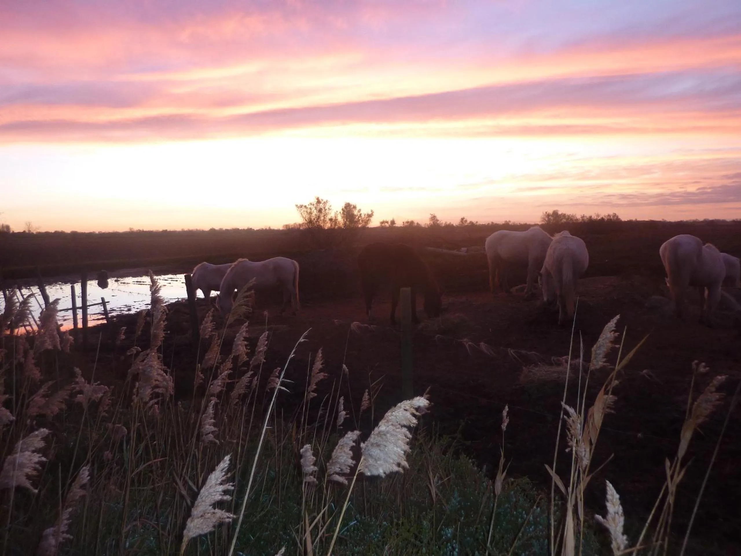 Sunrise in Longo Mai