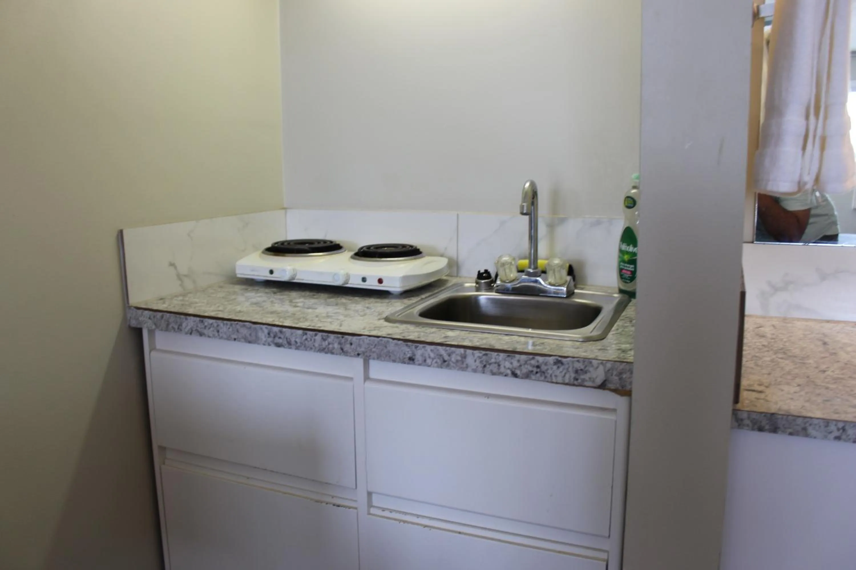 Kitchen or kitchenette in Plains Motor Inn