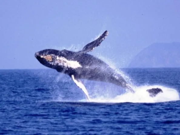 Living Inn Asahibashiekimae Premier