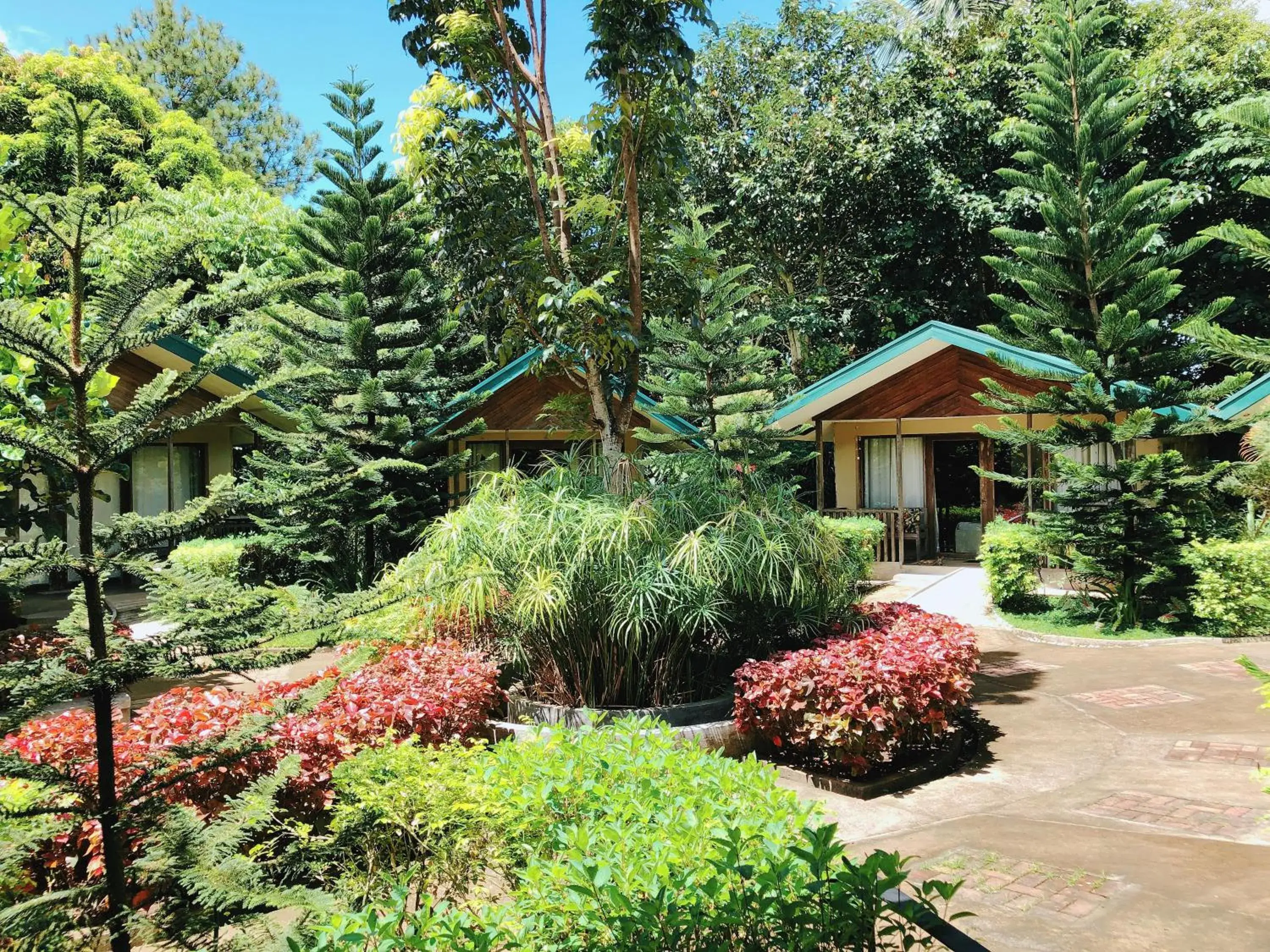 Ted's Bed and Breakfast Ted's Bed and Breakfast