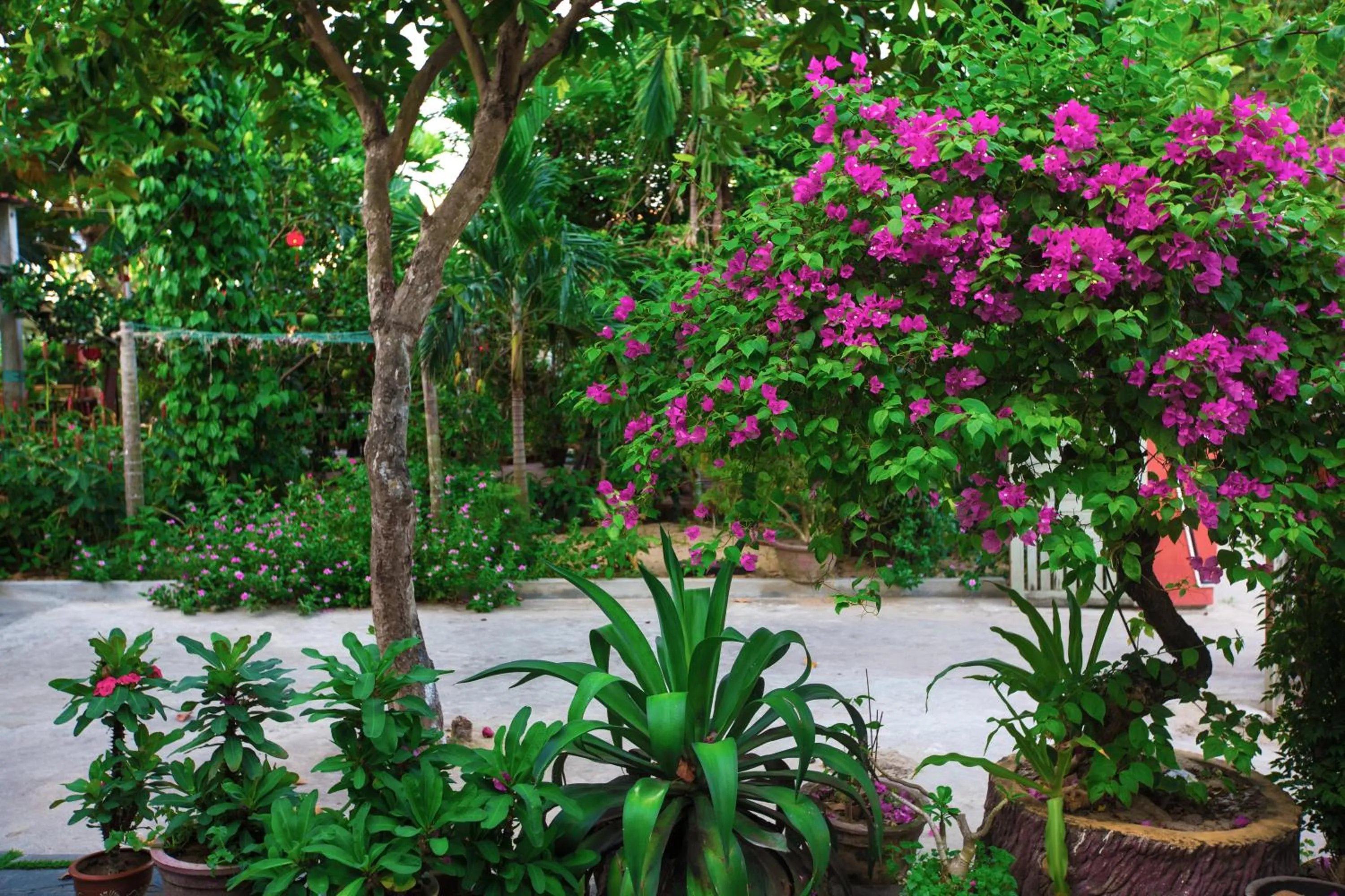 Property building in Thinh Phuc Homestay