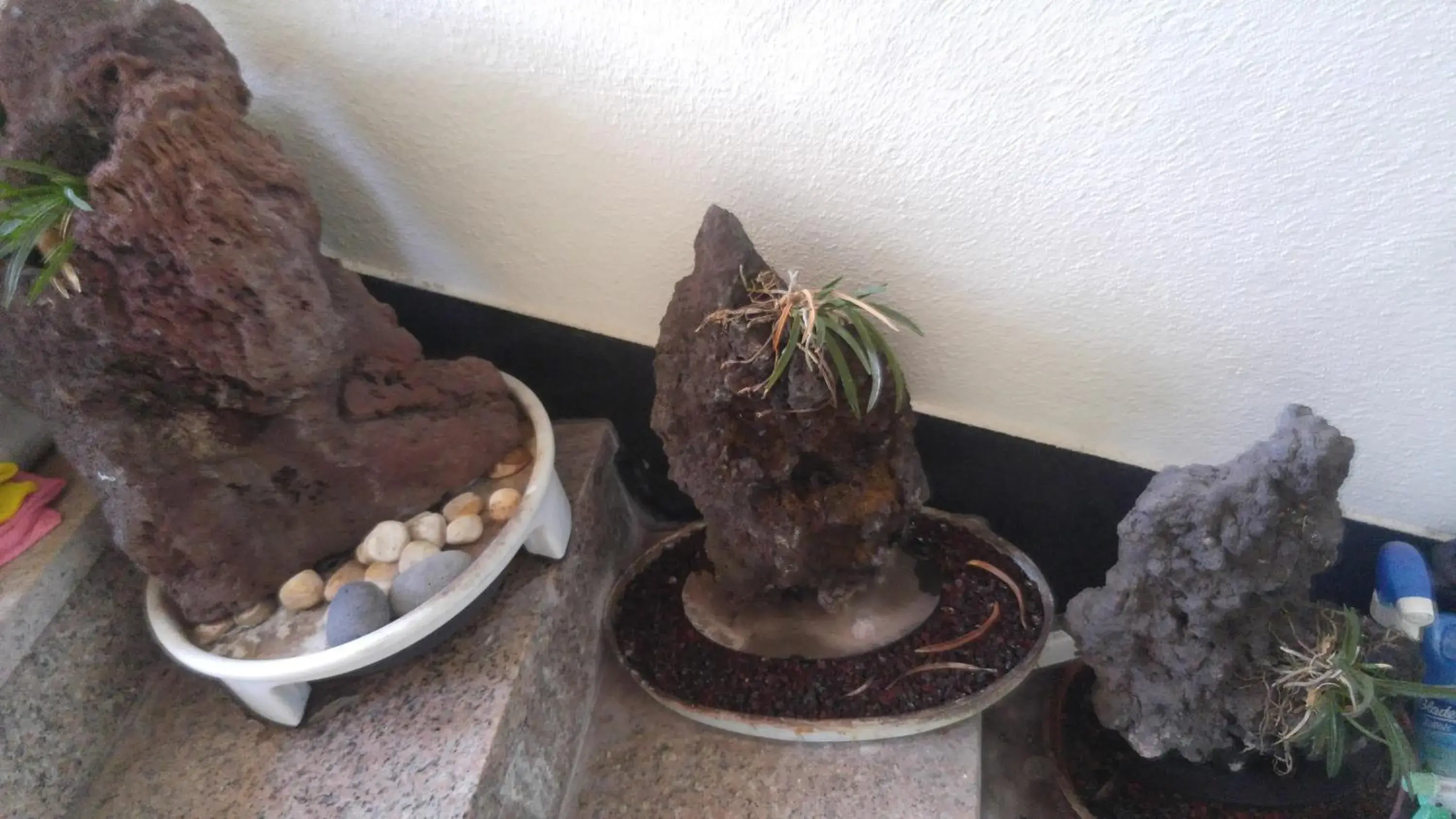 Other in Sea Dragon Pension Other in Sea Dragon Pension