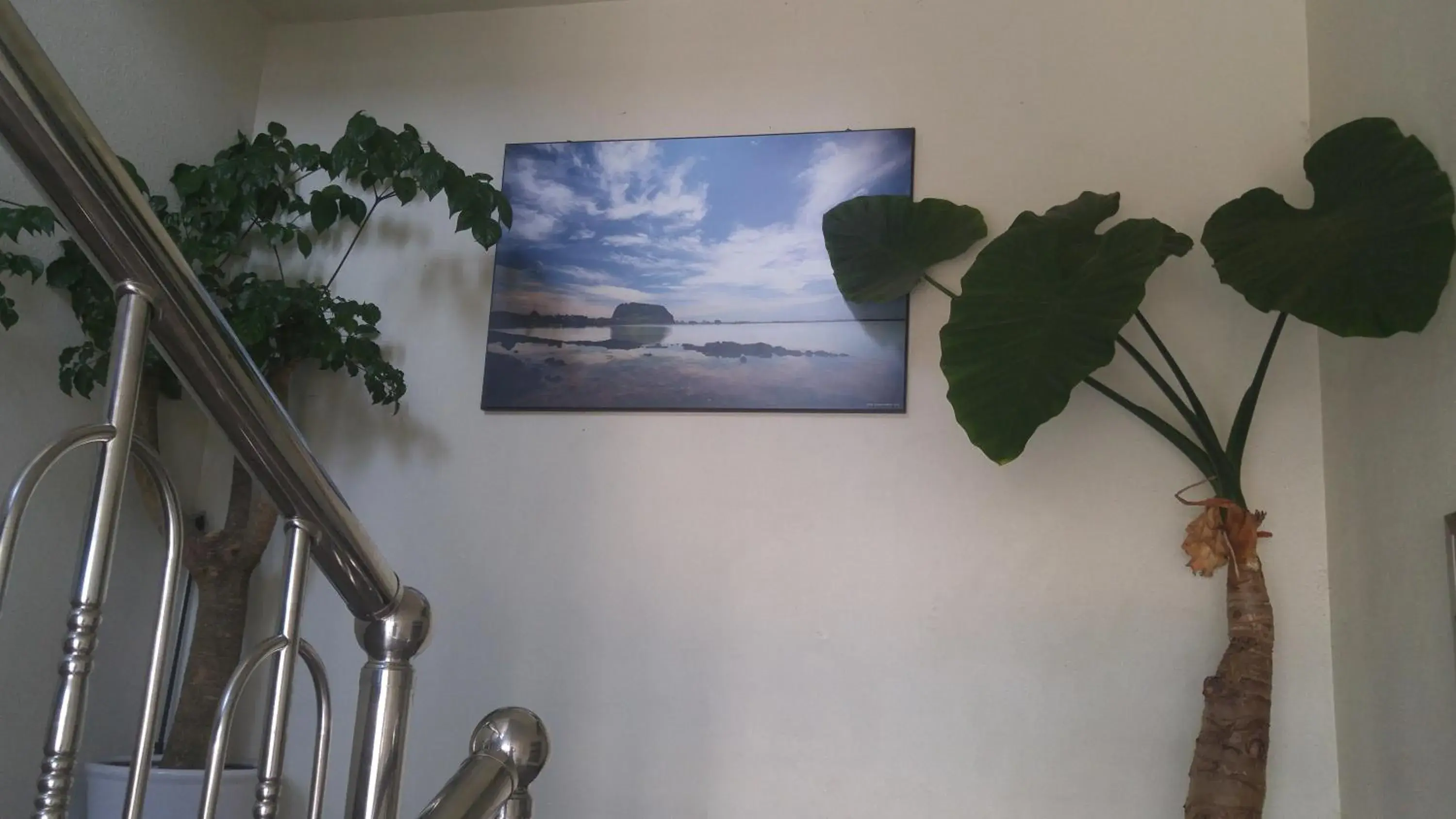 Other in Sea Dragon Pension Other in Sea Dragon Pension