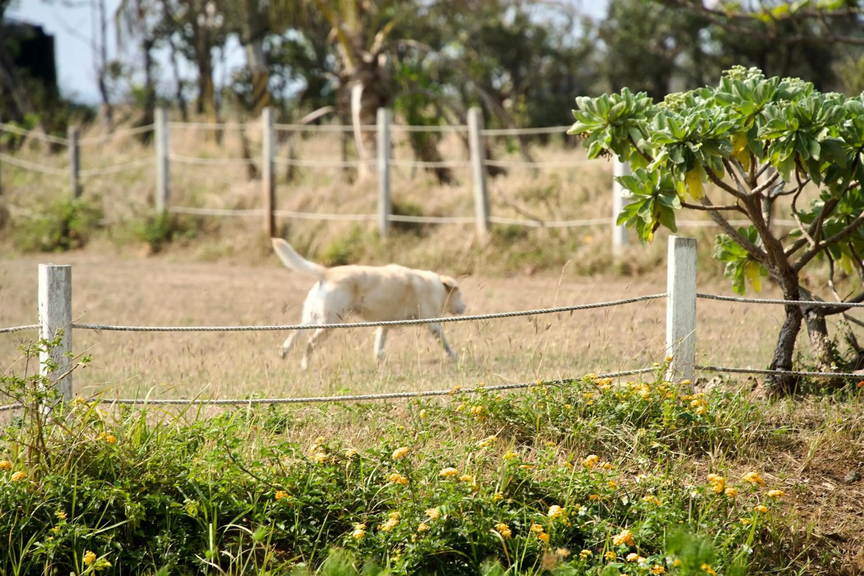 Day in Kenting COMIC B&B&SPRING