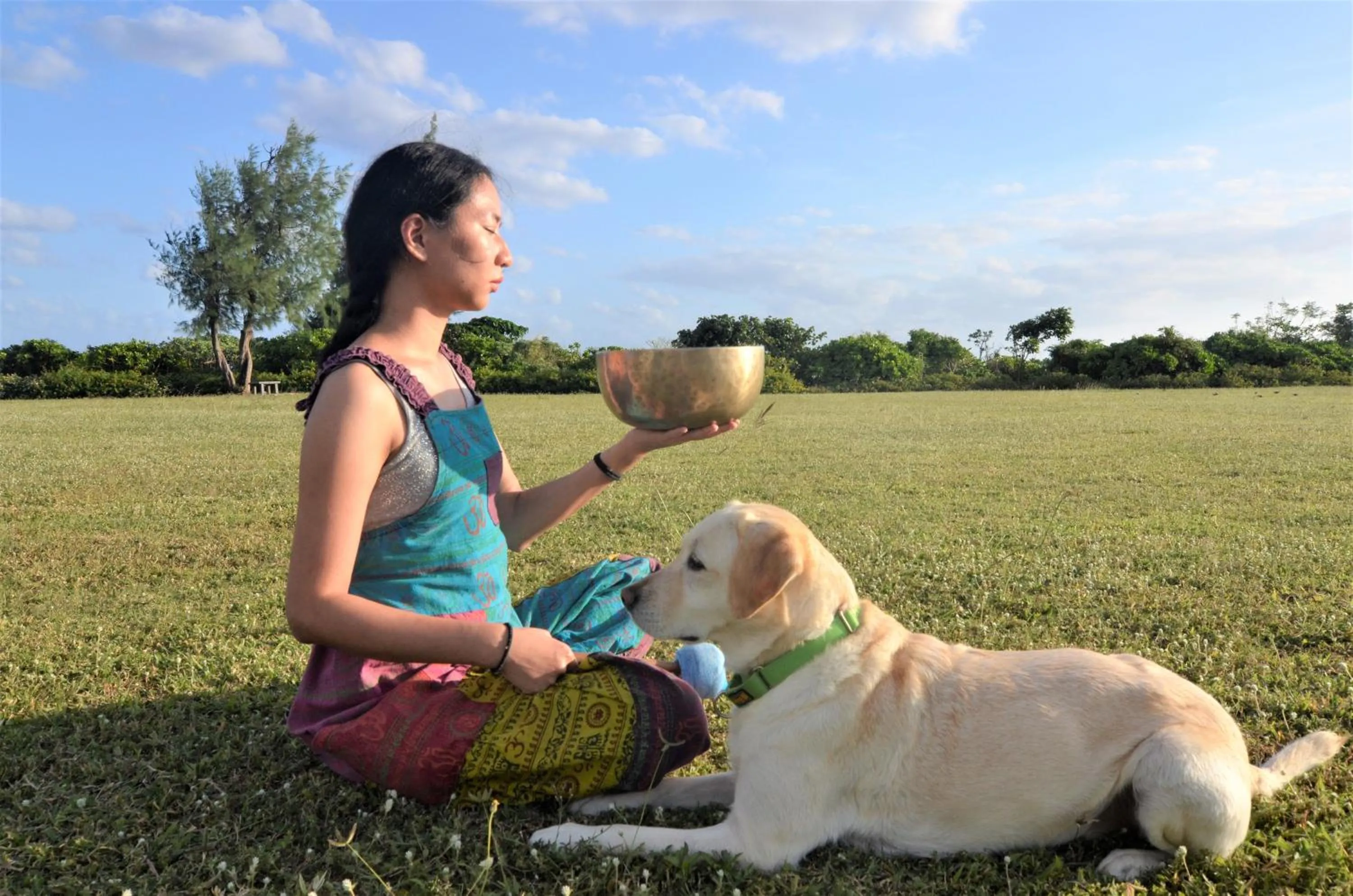 Patio in Kenting COMIC B&B&SPRING