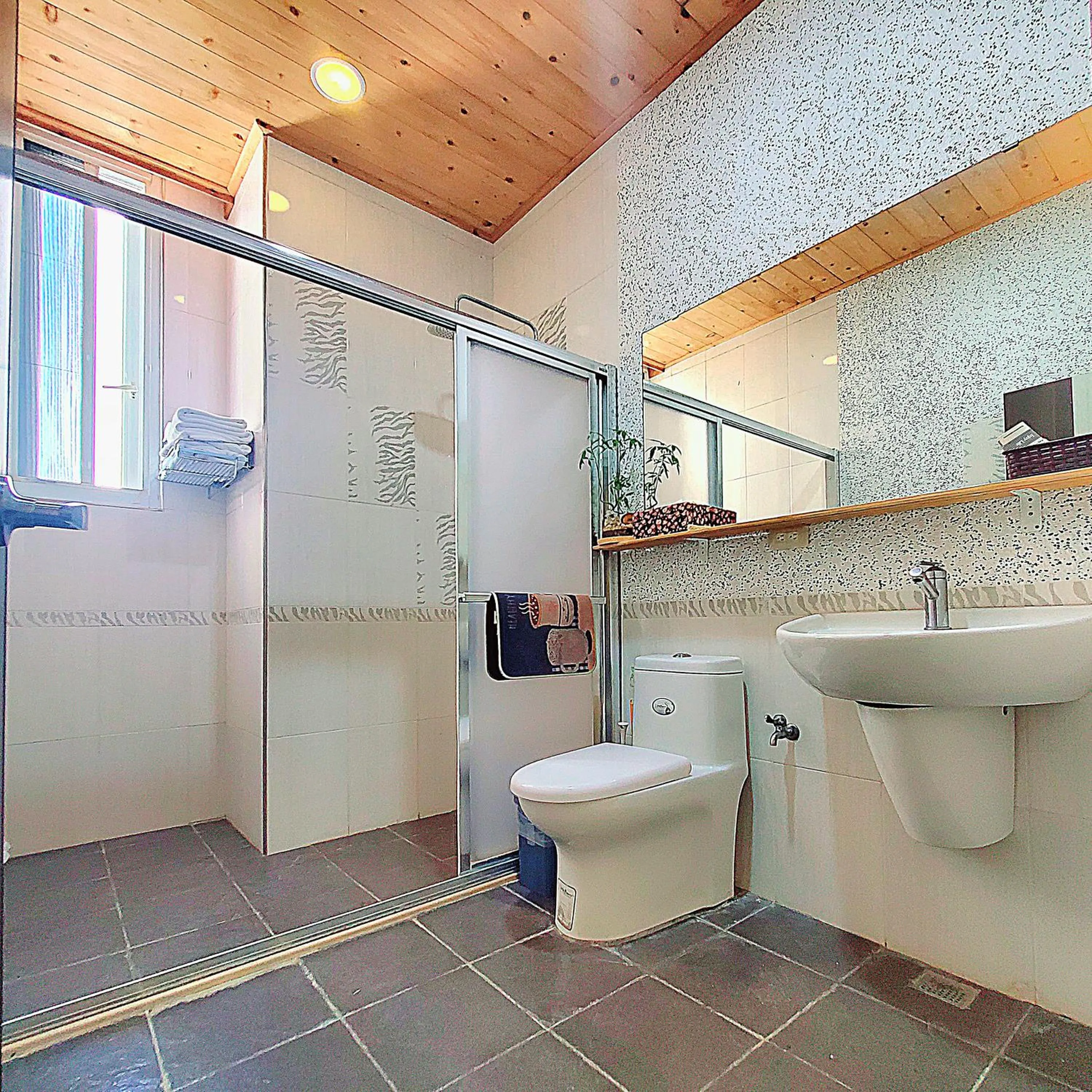 Shower in Stone Home Bed and Breakfast