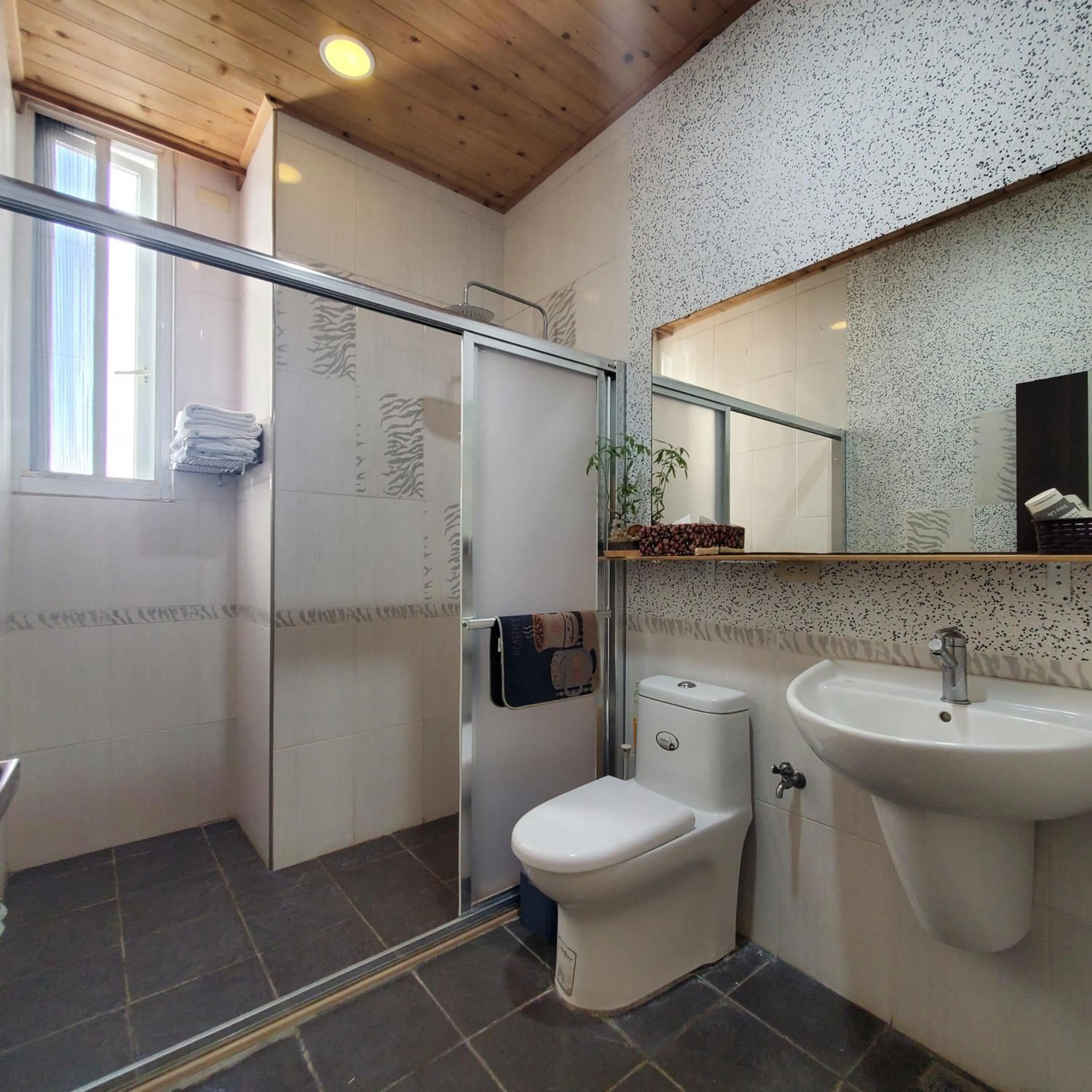 Shower in Stone Home Bed and Breakfast