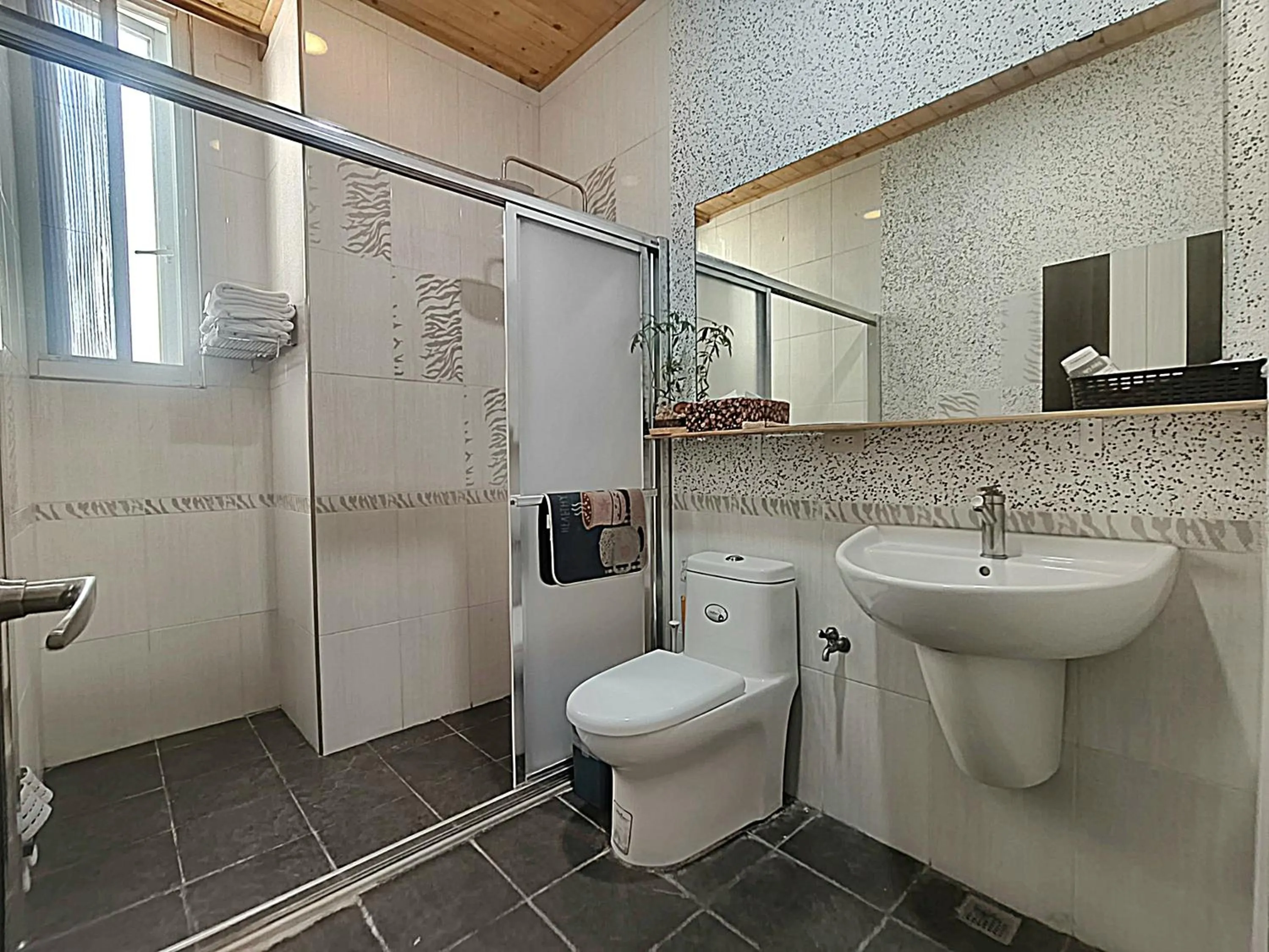 Shower in Stone Home Bed and Breakfast