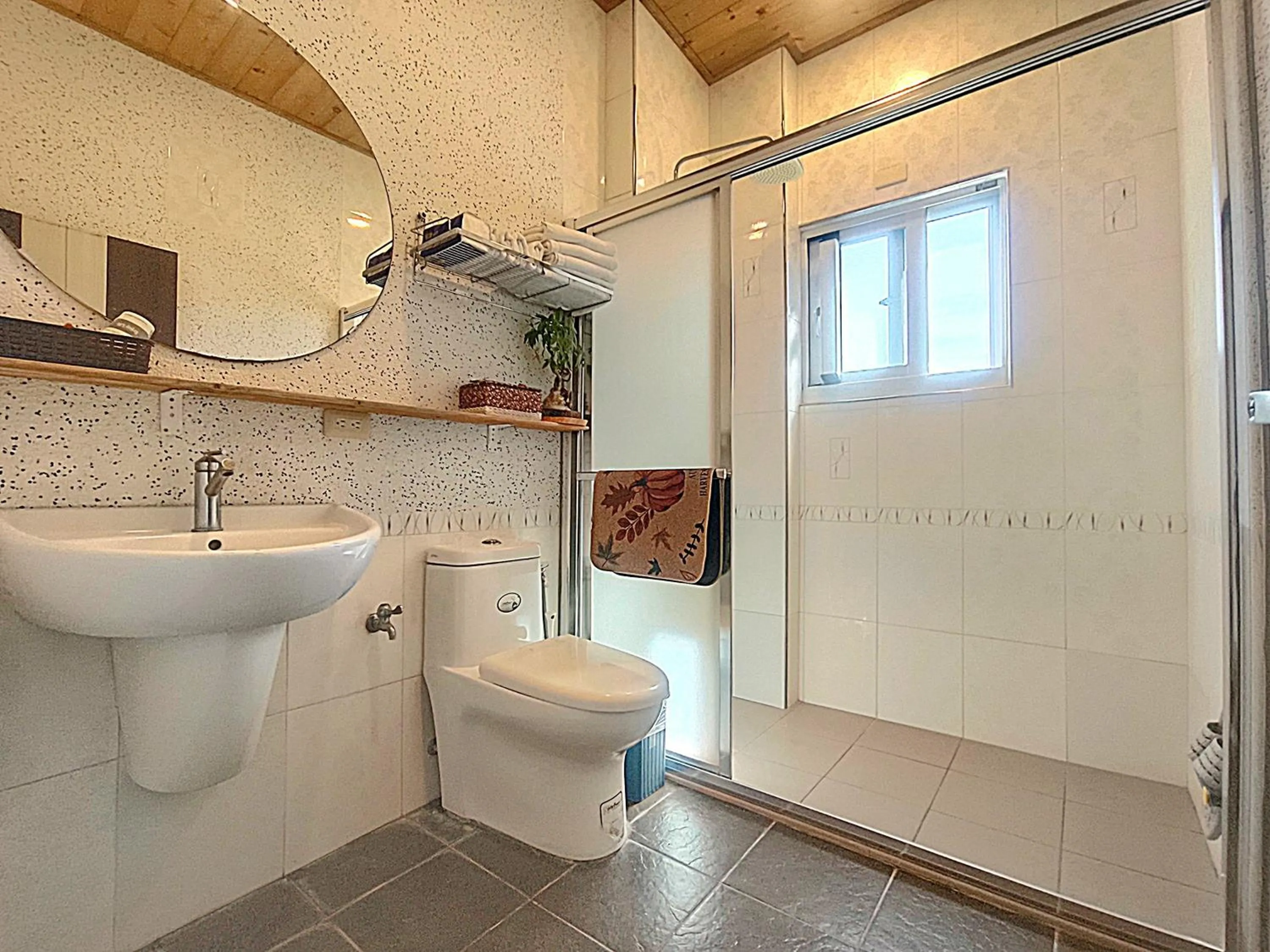 Shower in Stone Home Bed and Breakfast