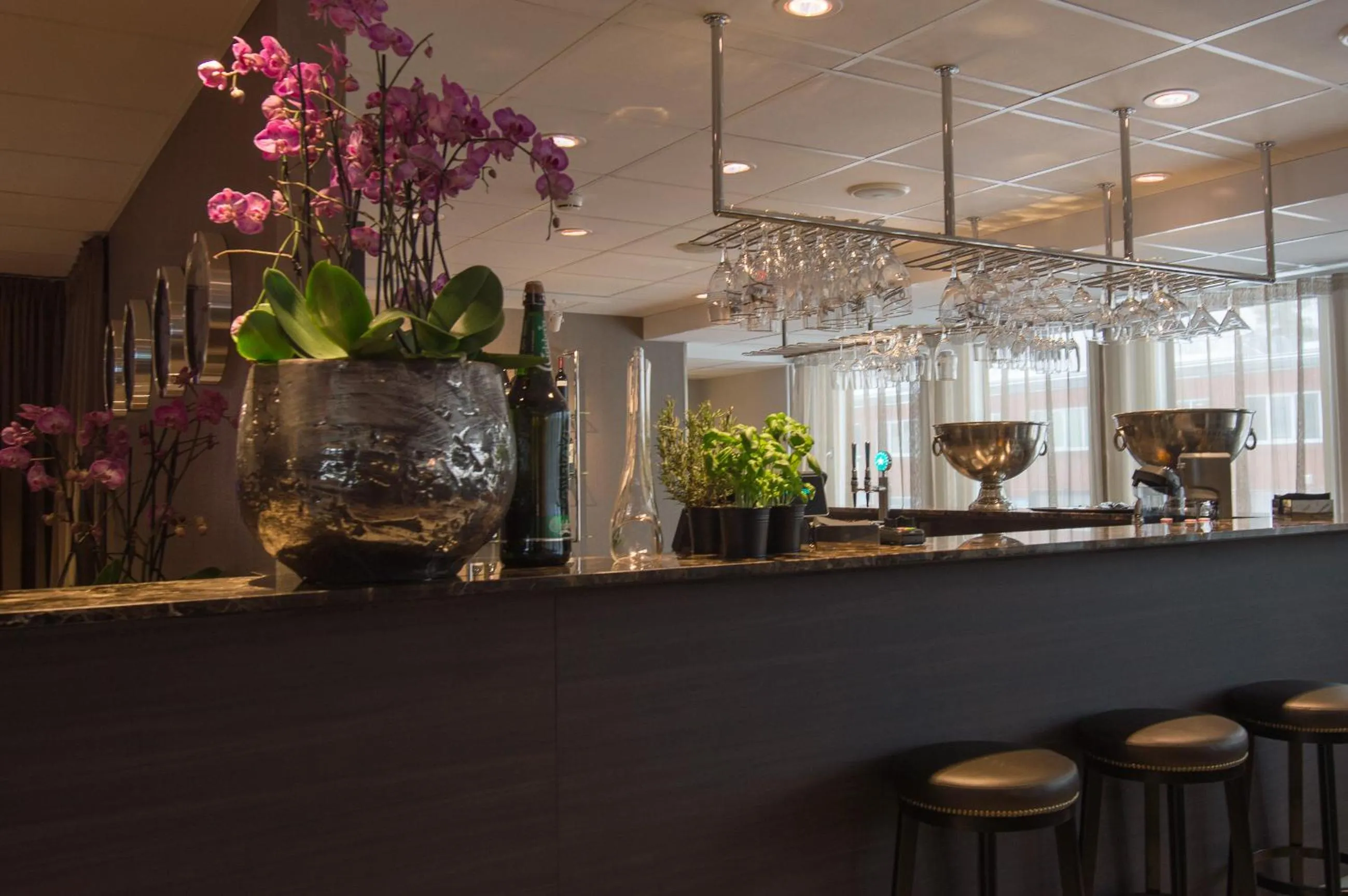 Lounge or bar in Best Western Plus Park Airport Hotel