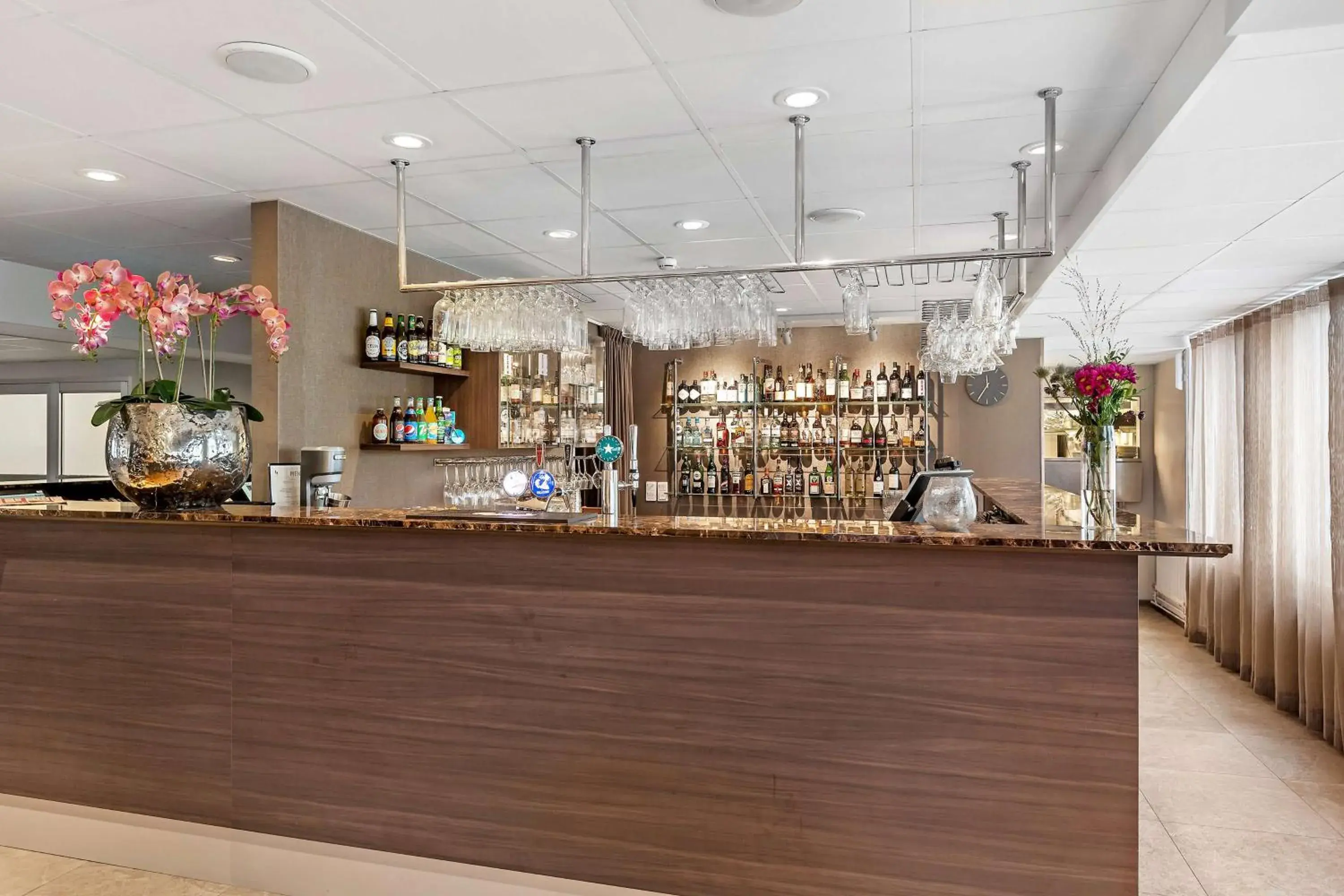 Lounge or bar in Best Western Plus Park Airport Hotel Lounge or bar in Best Western Plus Park Airport Hotel