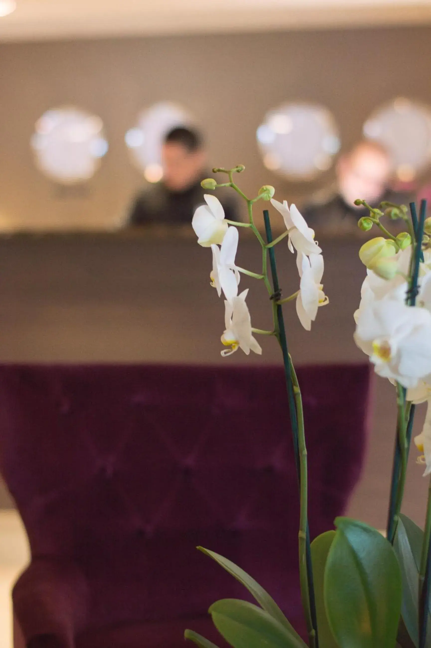 Lobby or reception in Best Western Plus Park Airport Hotel Lobby or reception in Best Western Plus Park Airport Hotel