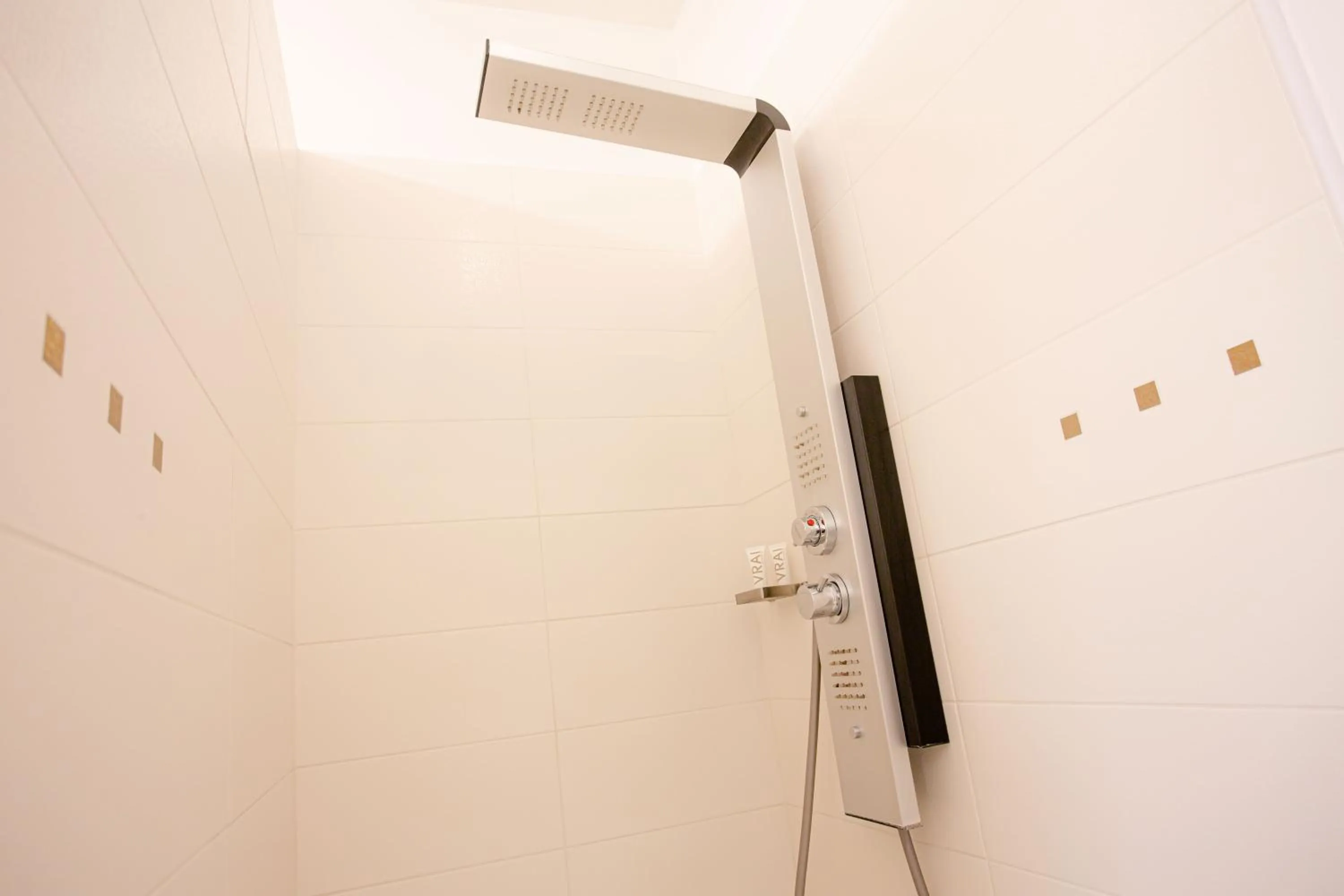 Shower in Hôtel Spa - Au Charme Rabelaisien