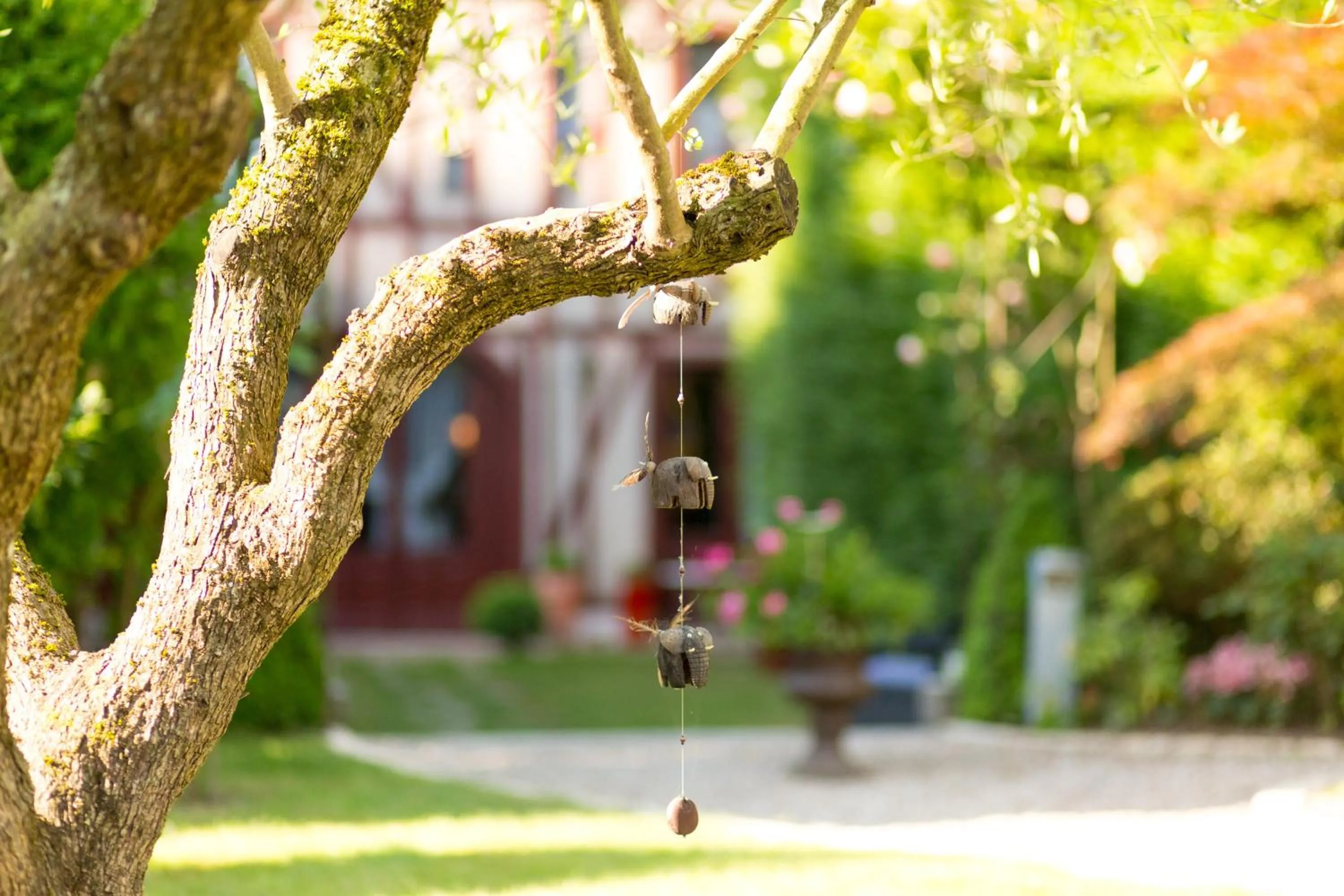 Decorative detail in Hôtel Spa - Au Charme Rabelaisien