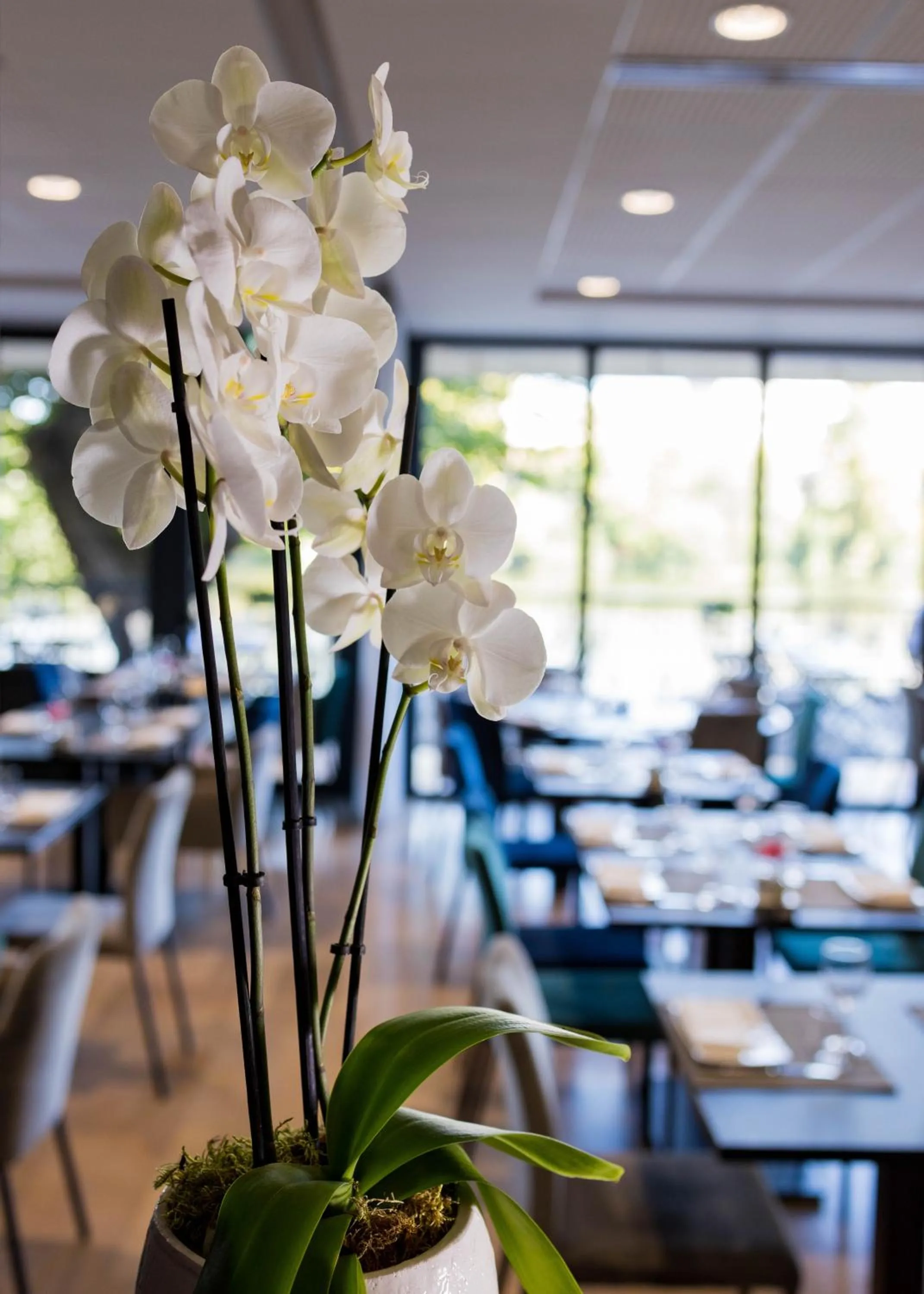 Restaurant/places to eat in La Chartreuse Logis Hotel Restaurant