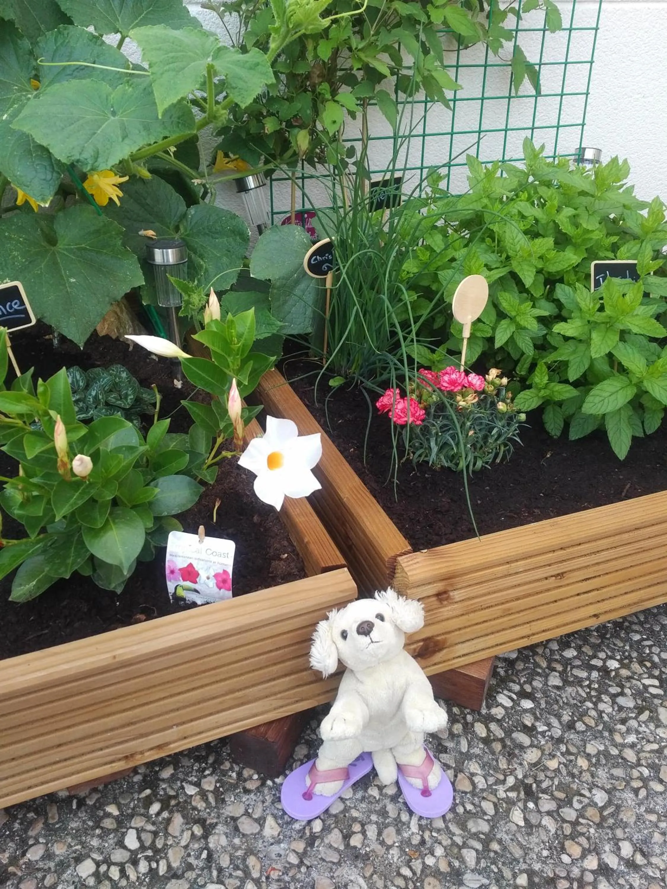 Patio in ibis Styles Compiegne