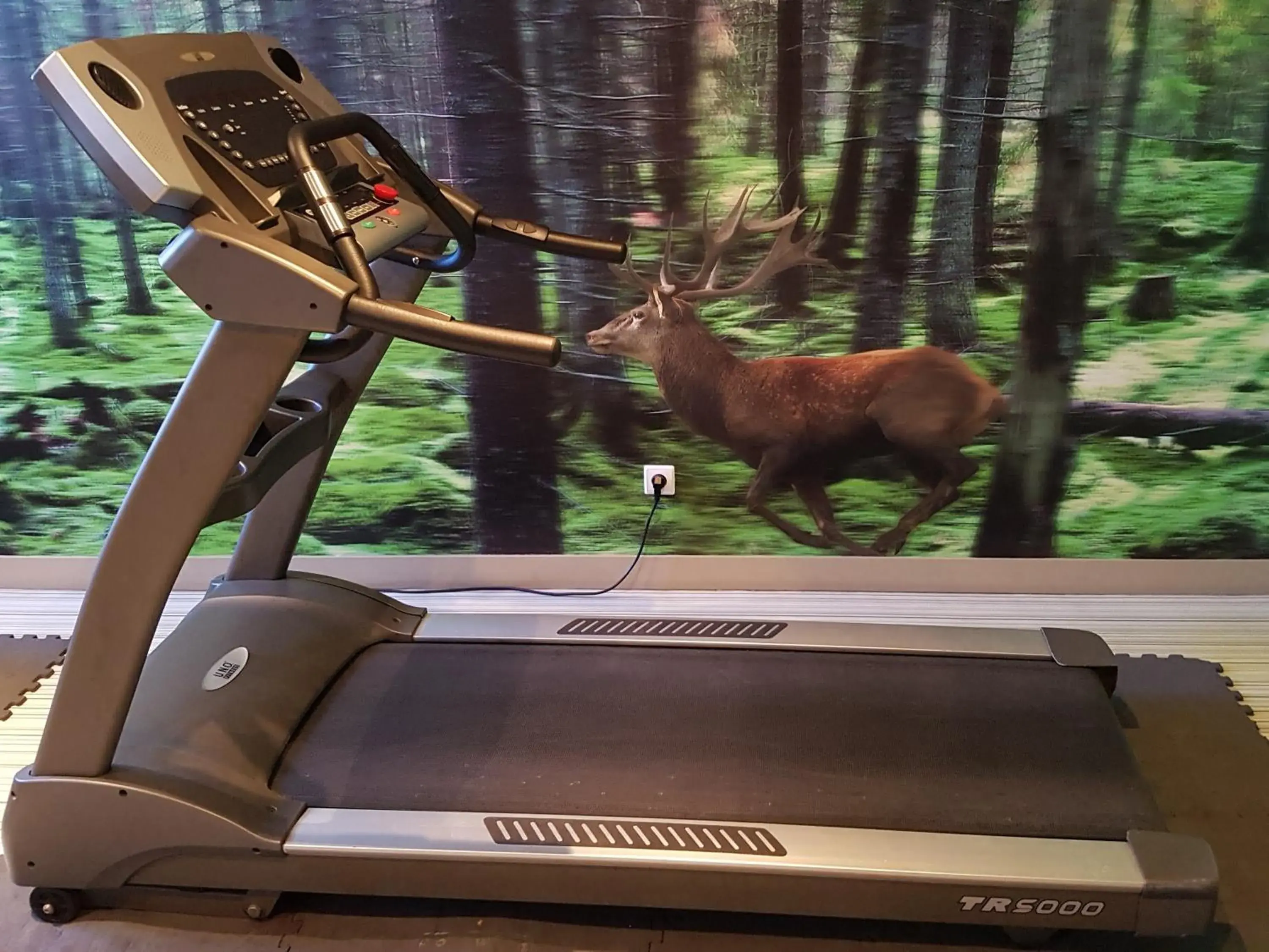 Fitness centre/facilities in ibis Styles Compiegne Fitness centre/facilities in ibis Styles Compiegne