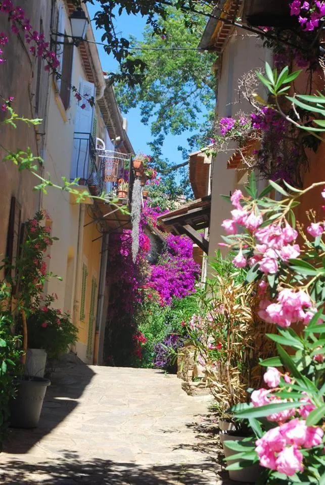 Spring in Hostellerie du Cigalou