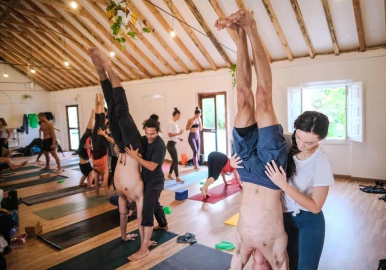 group of guests in Olive3 Ericeira