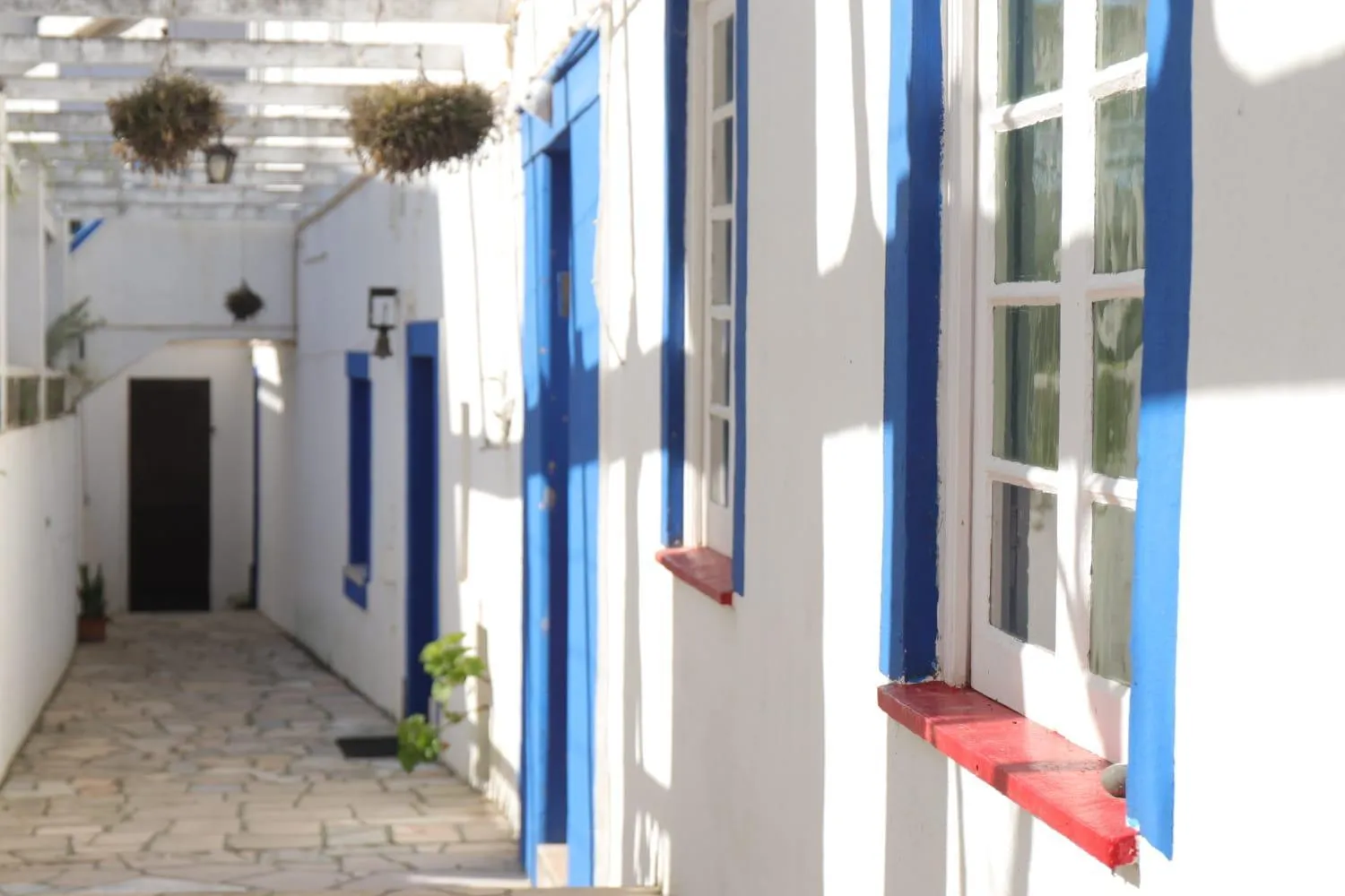 Area and facilities in Olive3 Ericeira