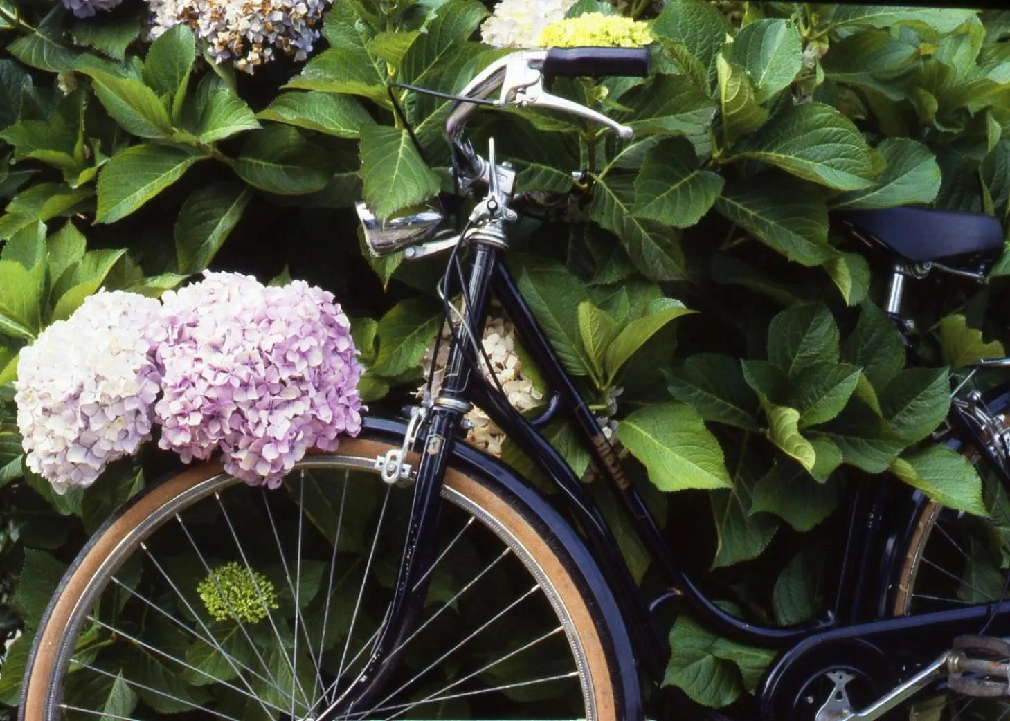 Cycling in Manoir de Lan Kérellec