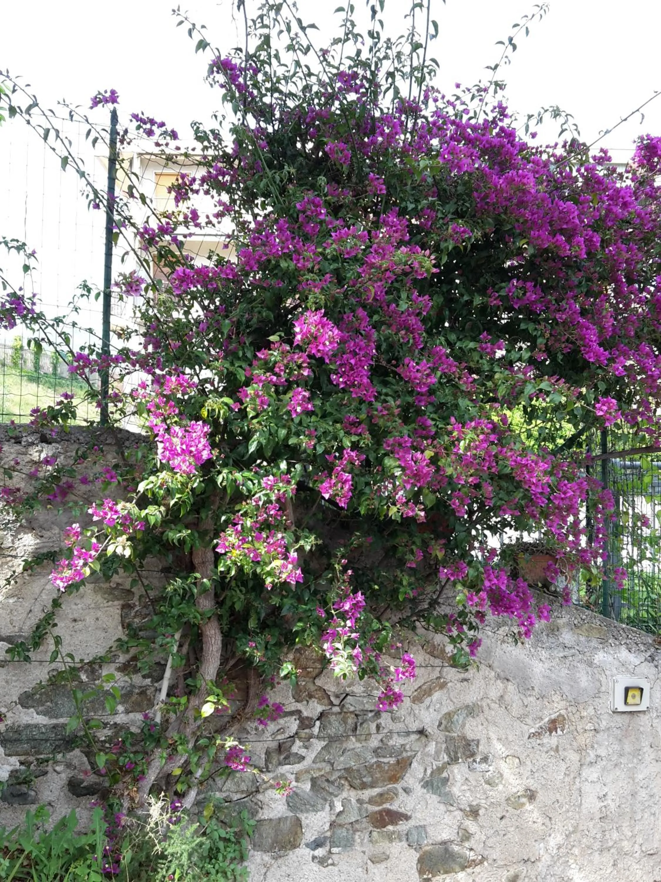 Property building in B&B Ai Tre Archi