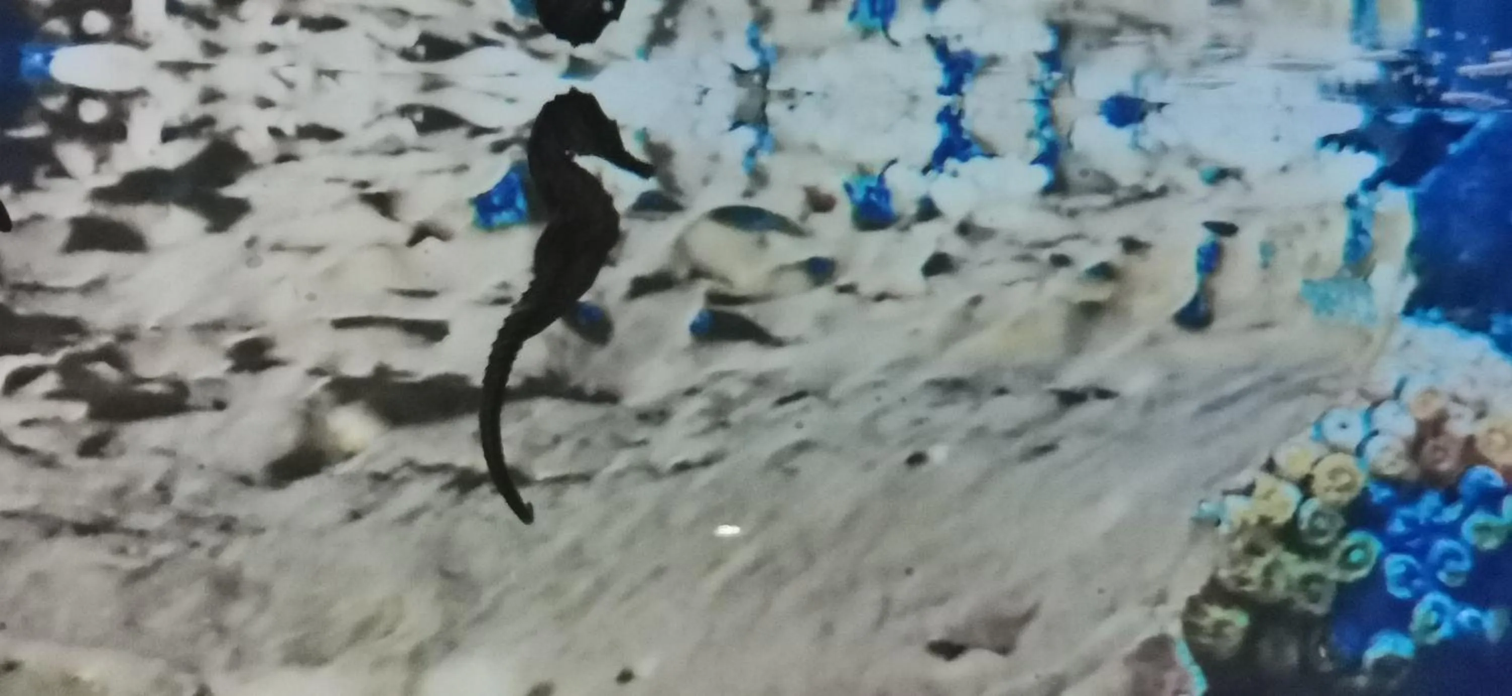 Property building in Dolphin House