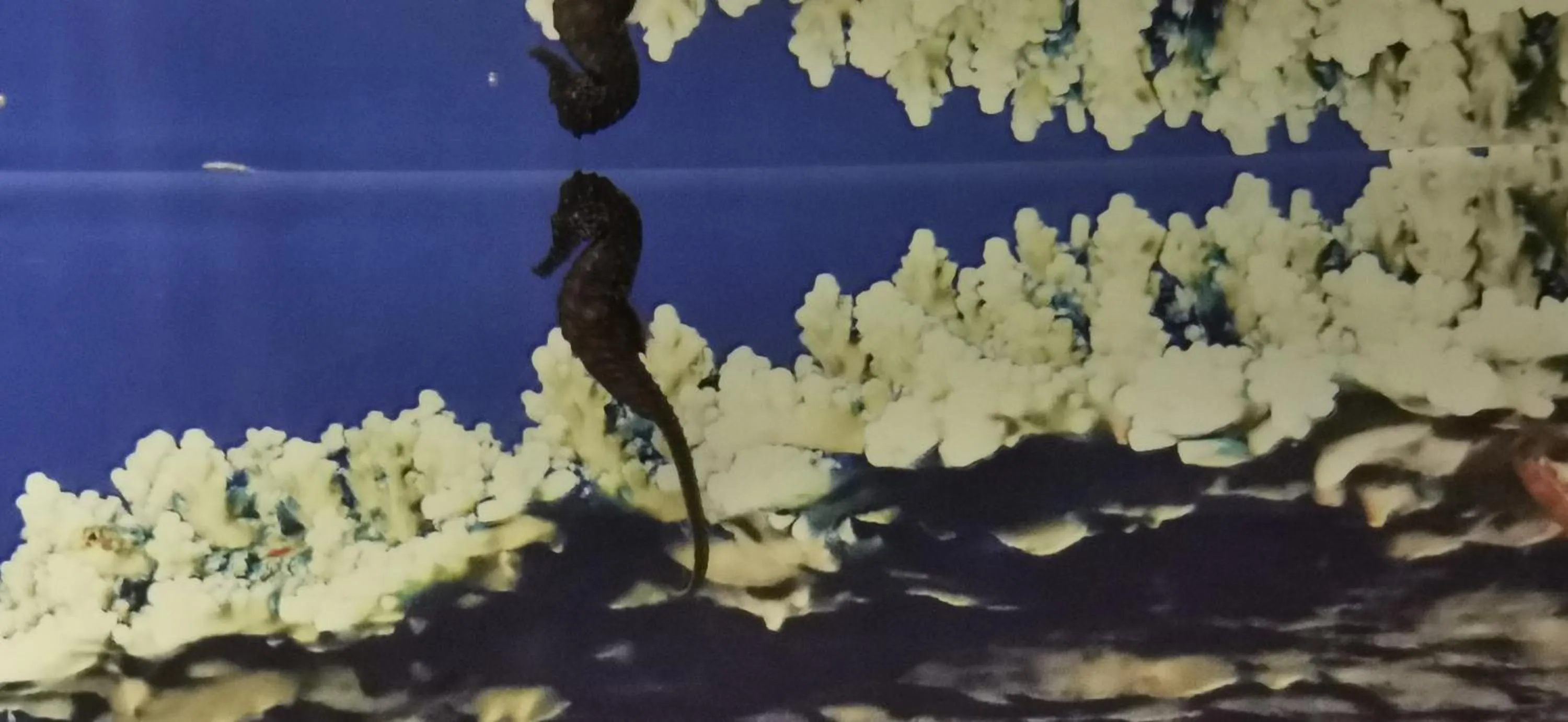 Property building in Dolphin House