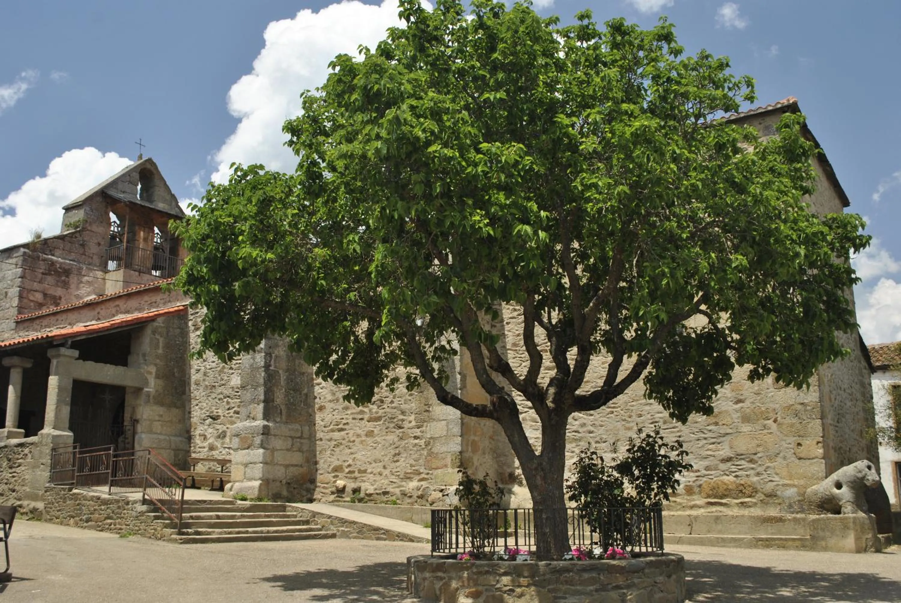 Street view in Hotel Rural Los Perales