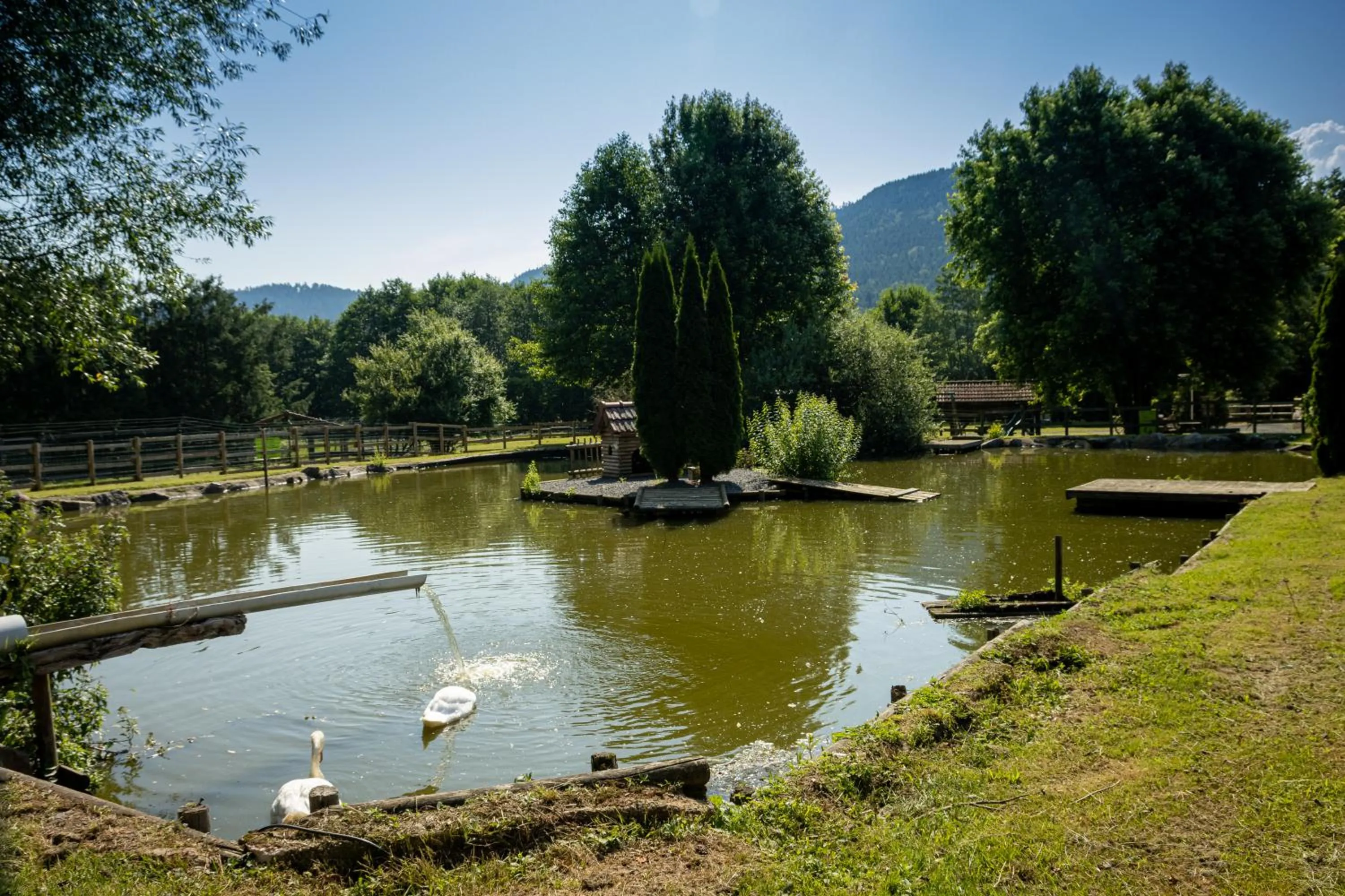 Natural landscape in Hôtel Restaurant Le Régal