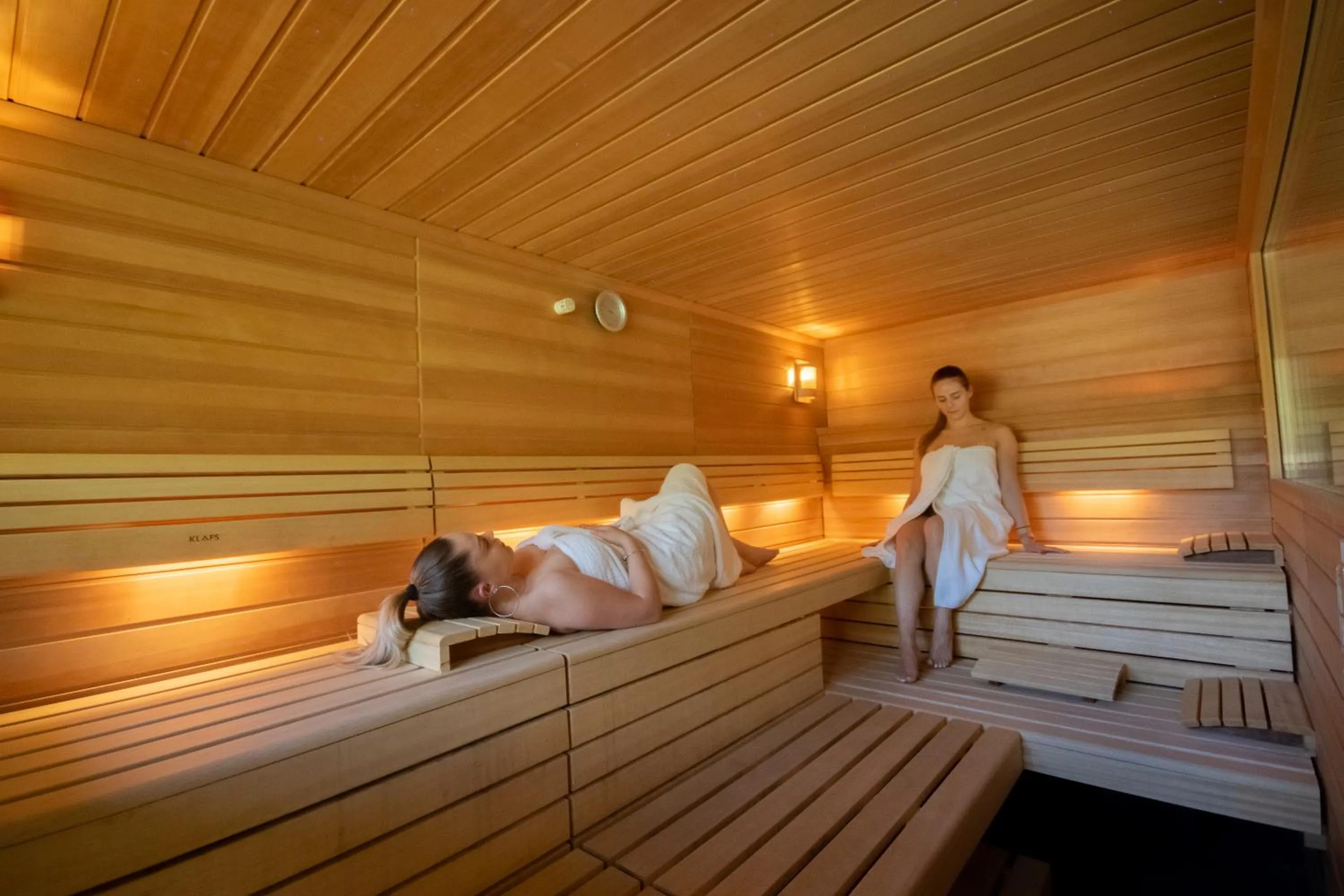 Sauna in Hôtel Restaurant Le Régal