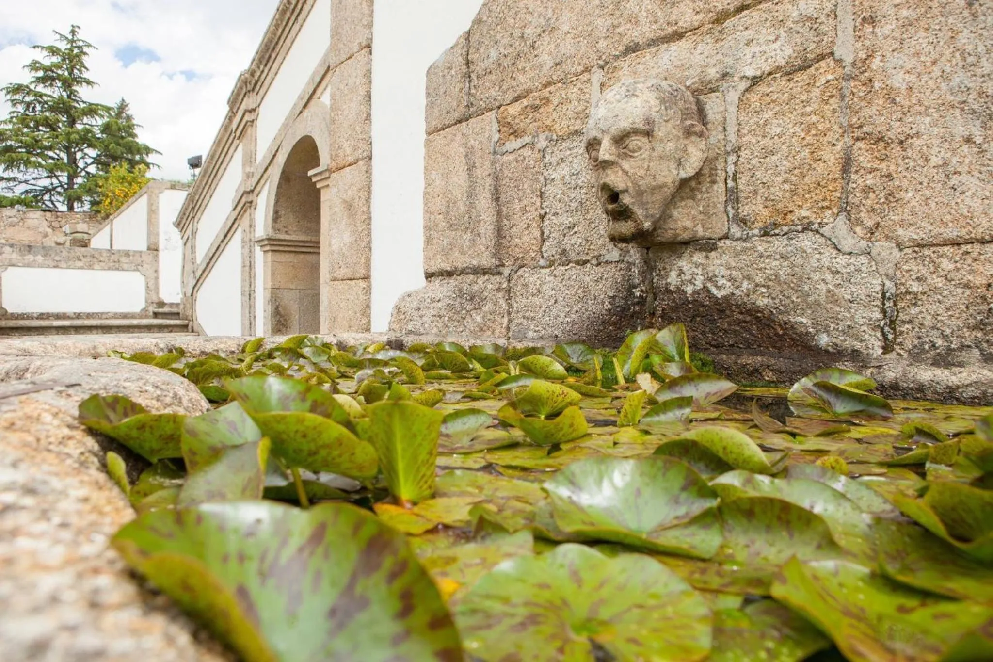 Casa de Quintã
