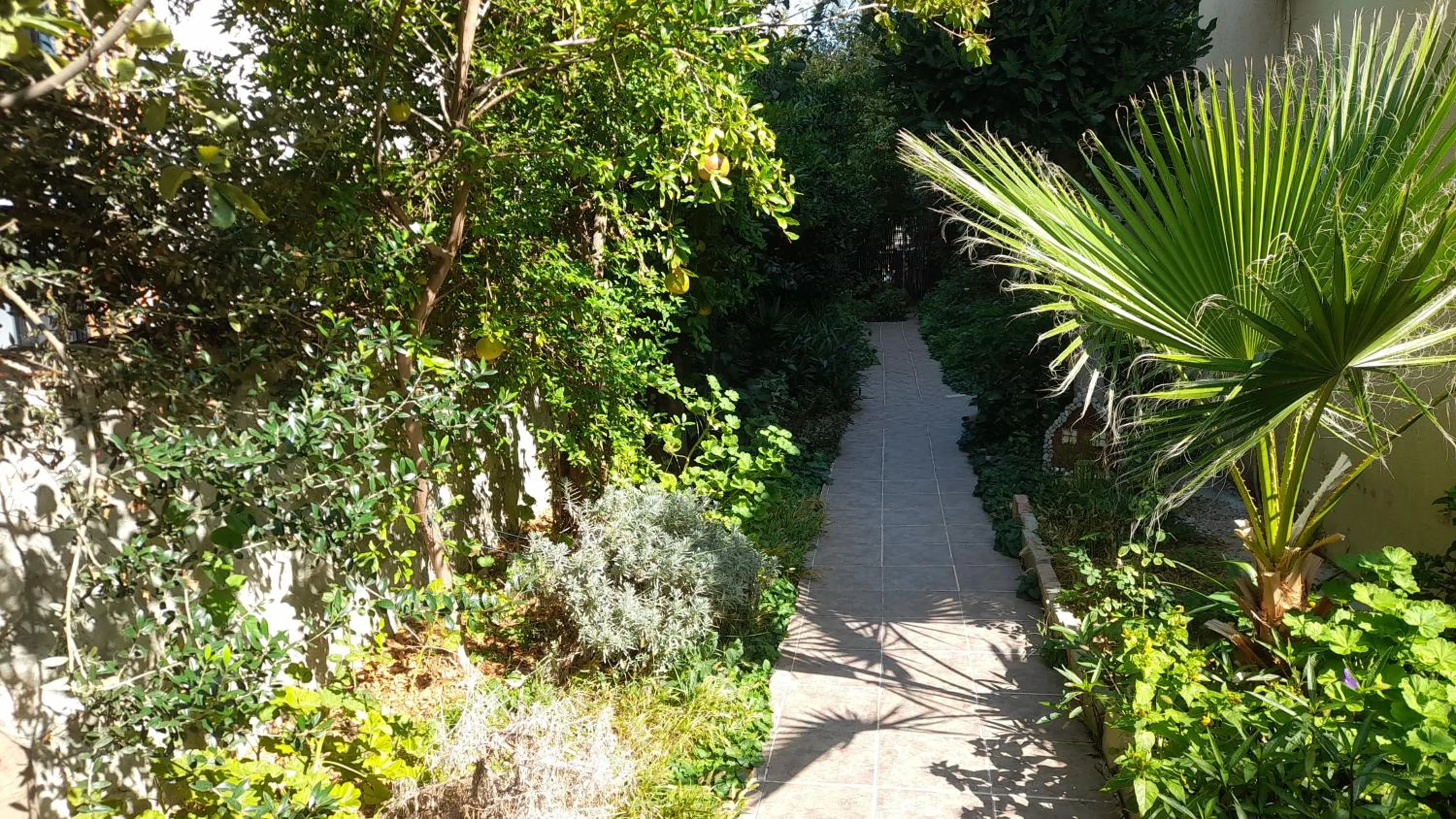 Garden in Sarıhan Apart Otel