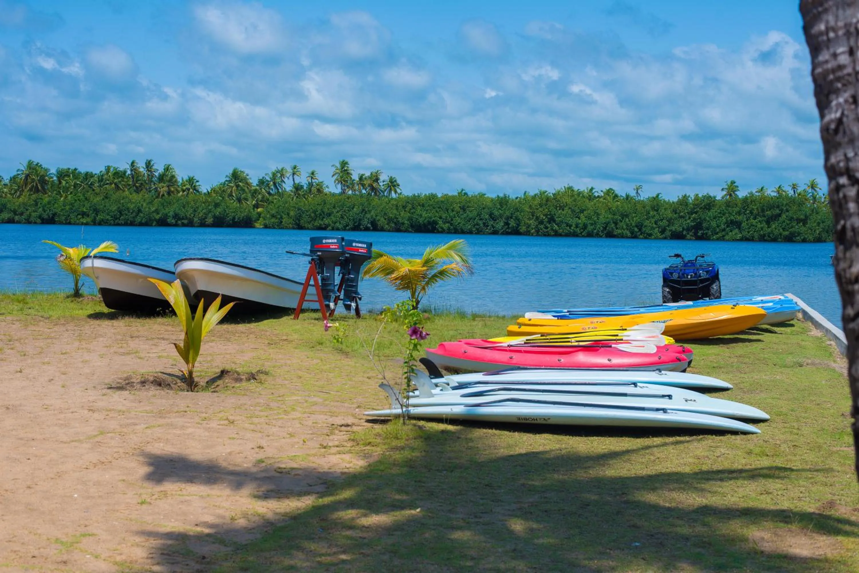 Natural landscape in Casa Del Papa Resort & SPA