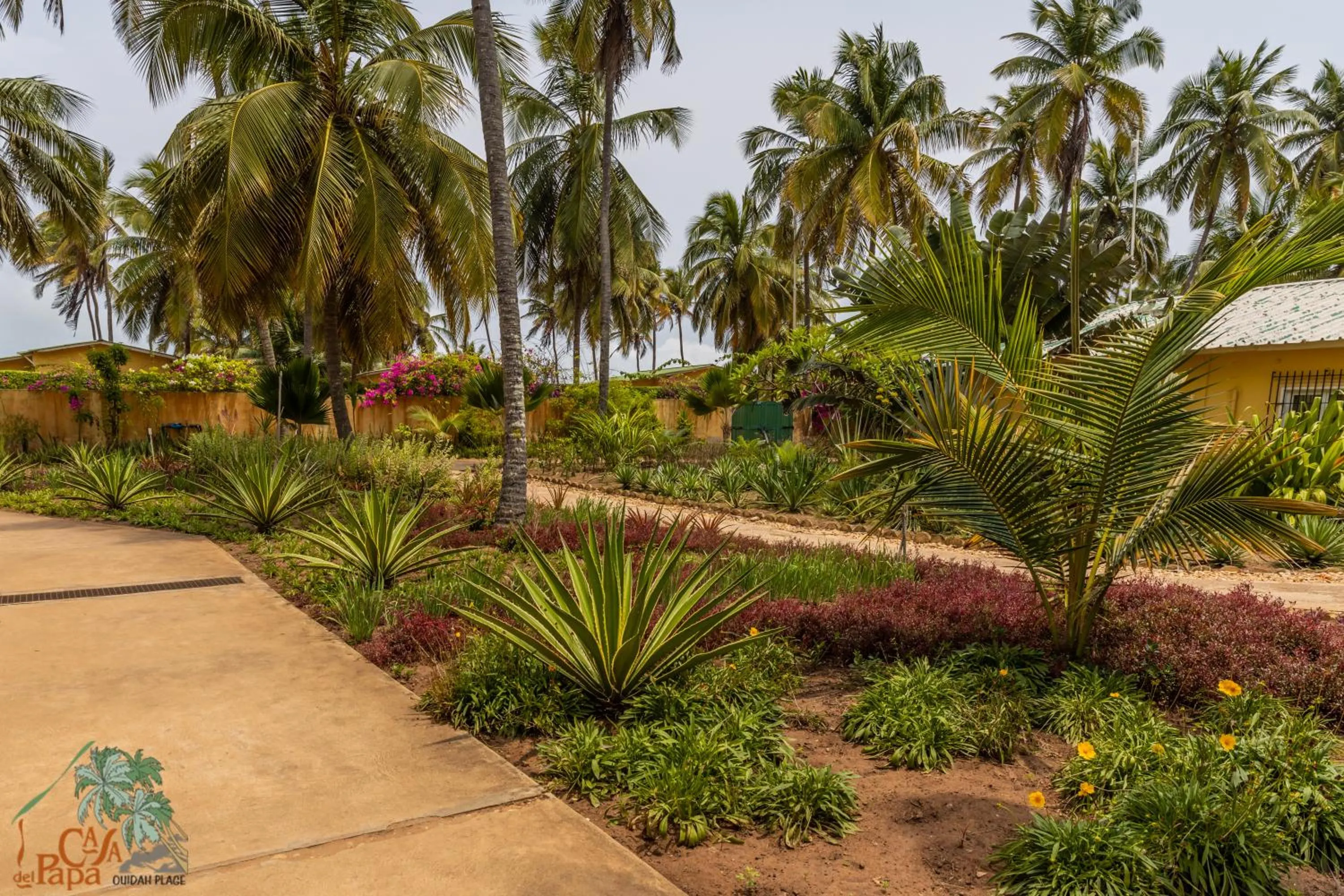 Garden in Casa Del Papa Resort & SPA