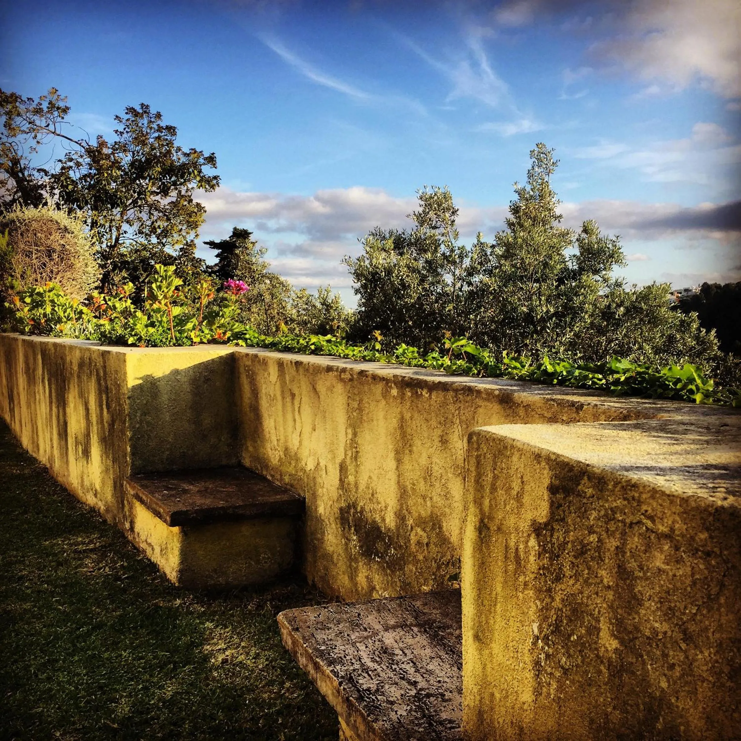 Garden view in Lisbon Country Villa