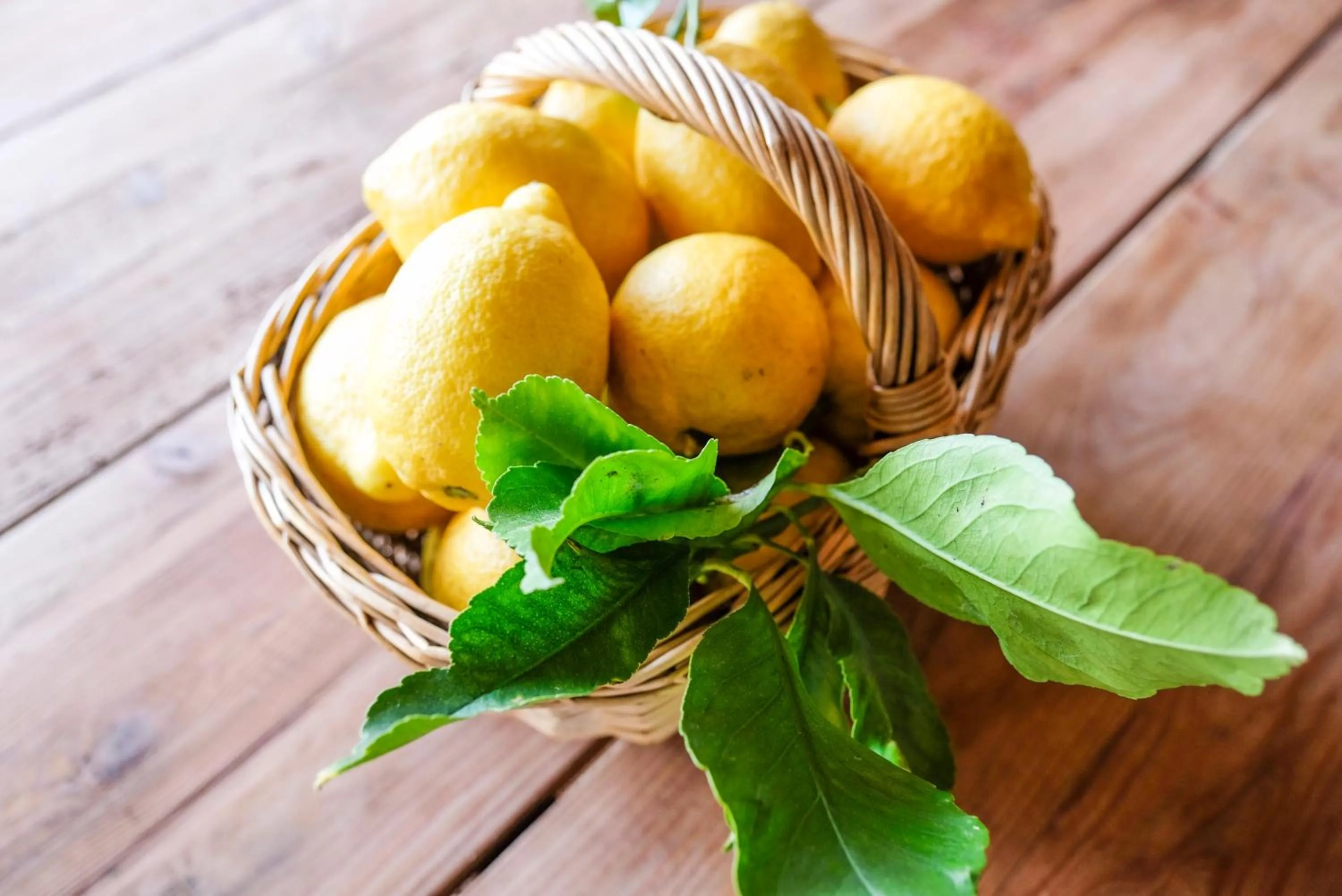 Lisbon Country Villa