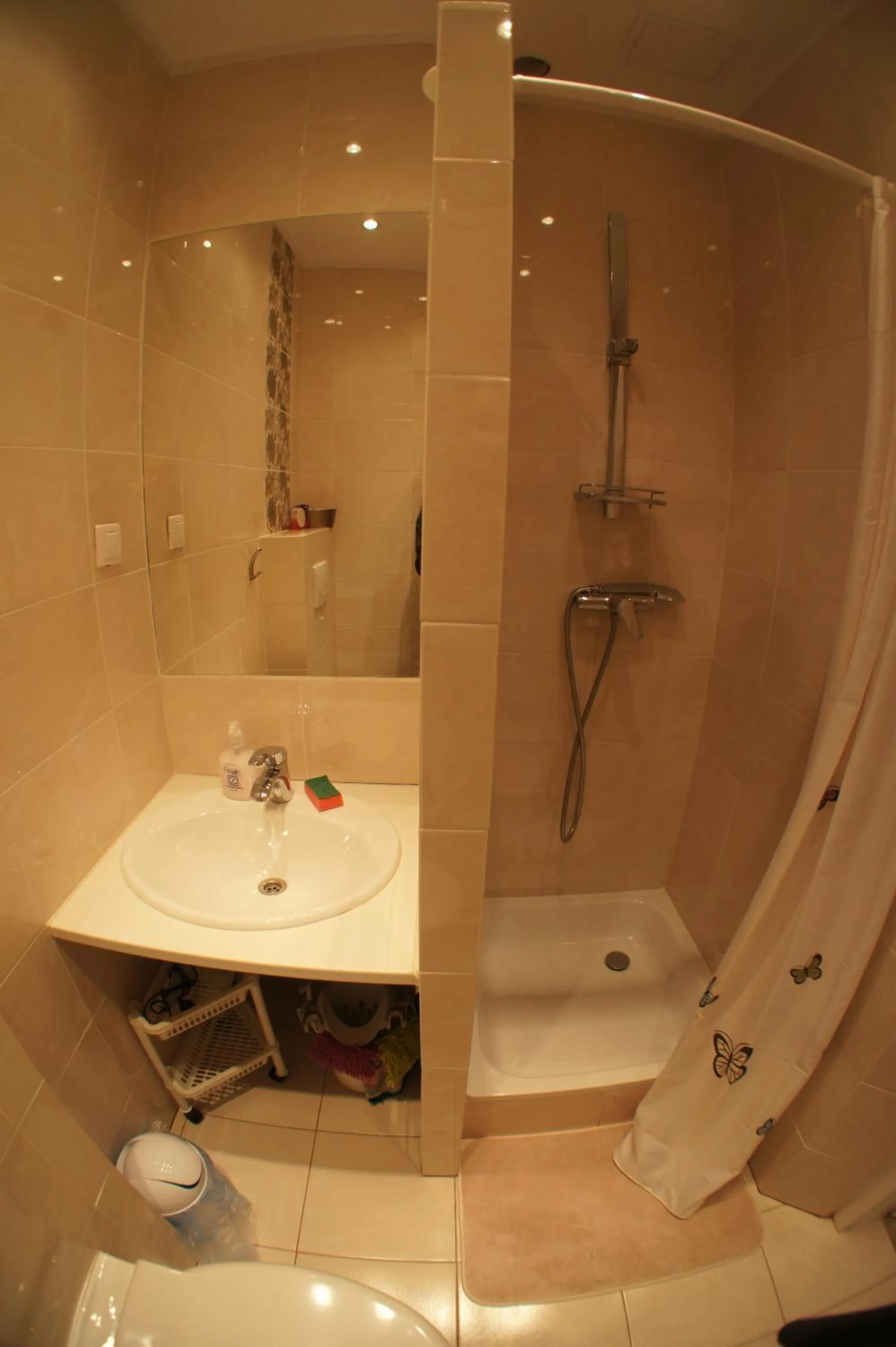 Shower in Apartament Poznań Jeżyce