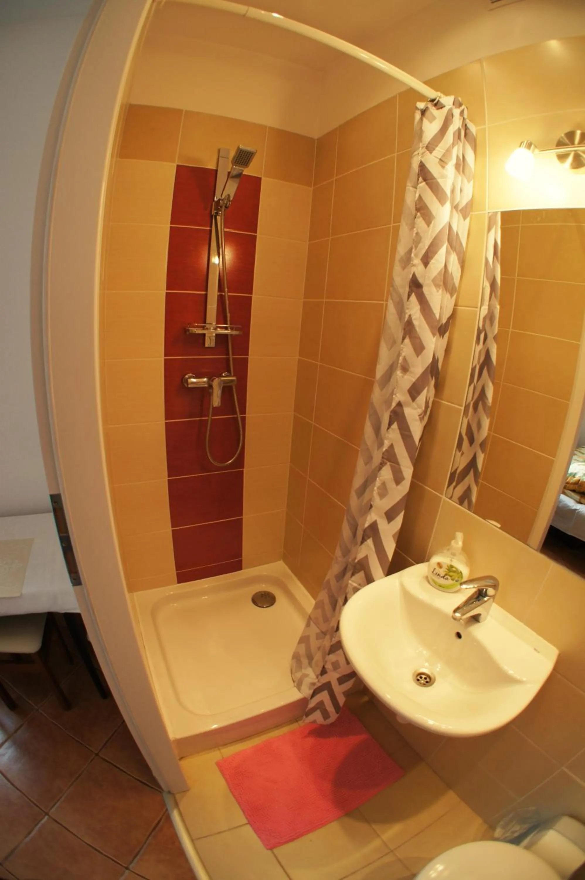 Shower in Apartament Poznań Jeżyce
