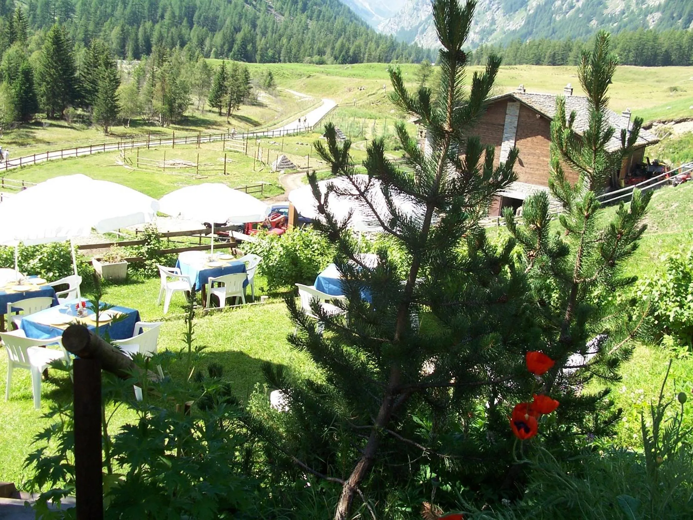 Garden view in Hotel Paradisia