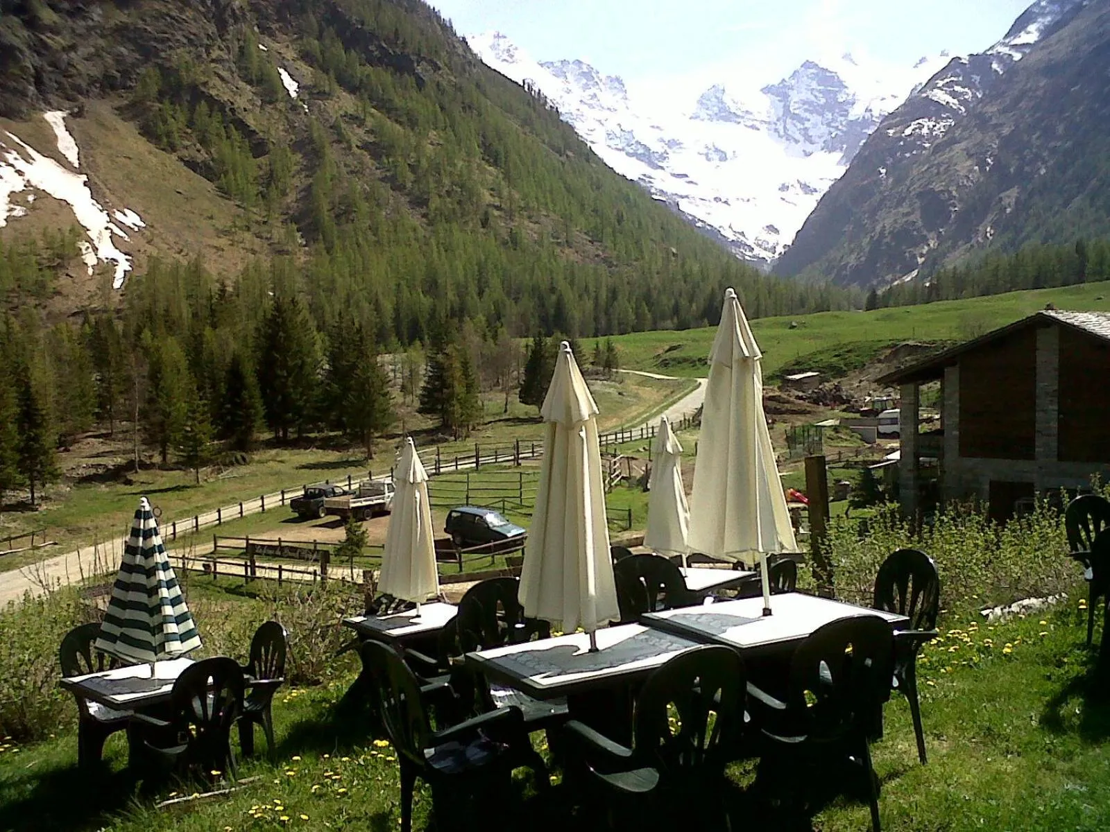 Garden in Hotel Paradisia